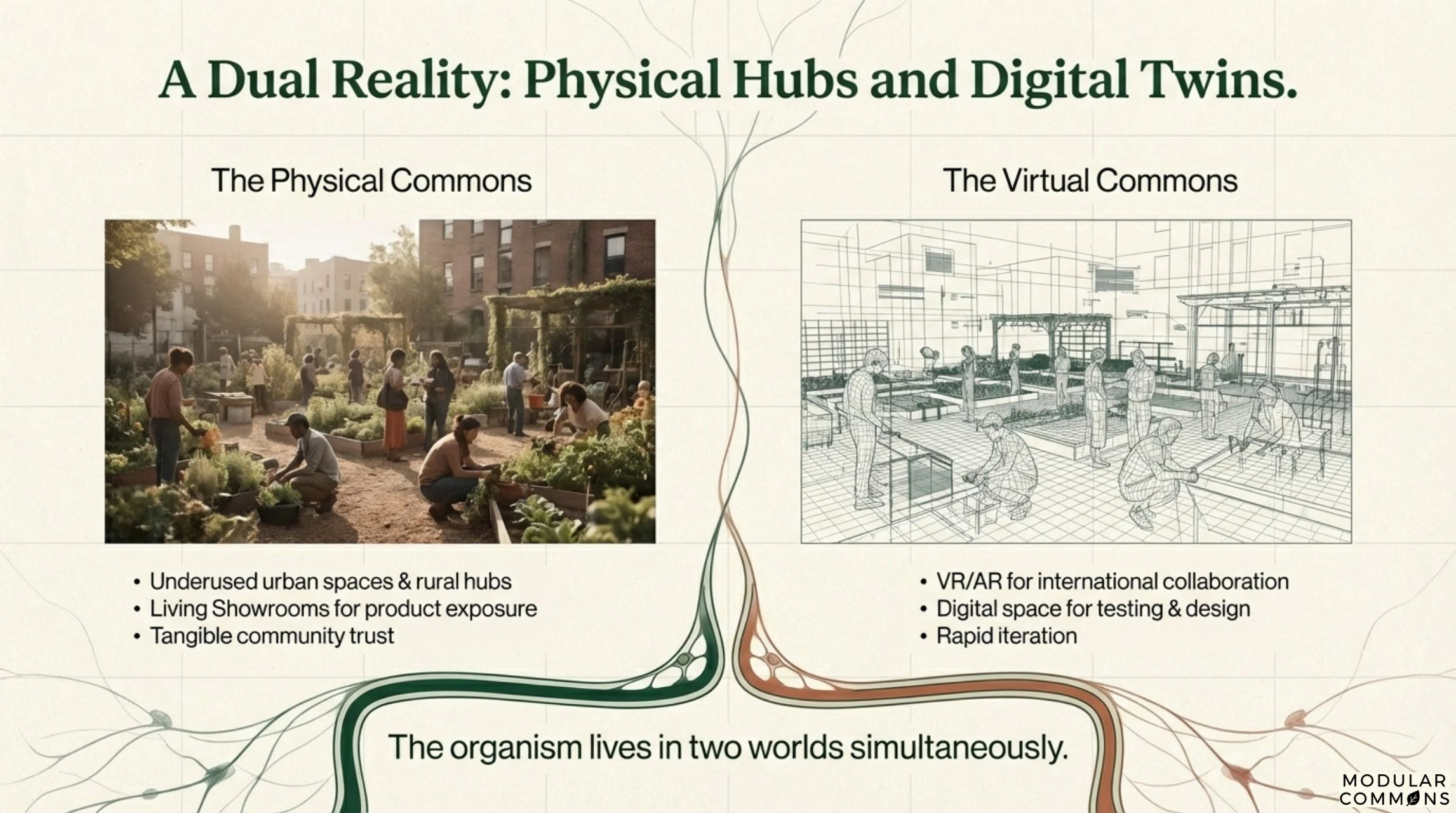 Regenerative_Connective_Tissue Page 006.jpg