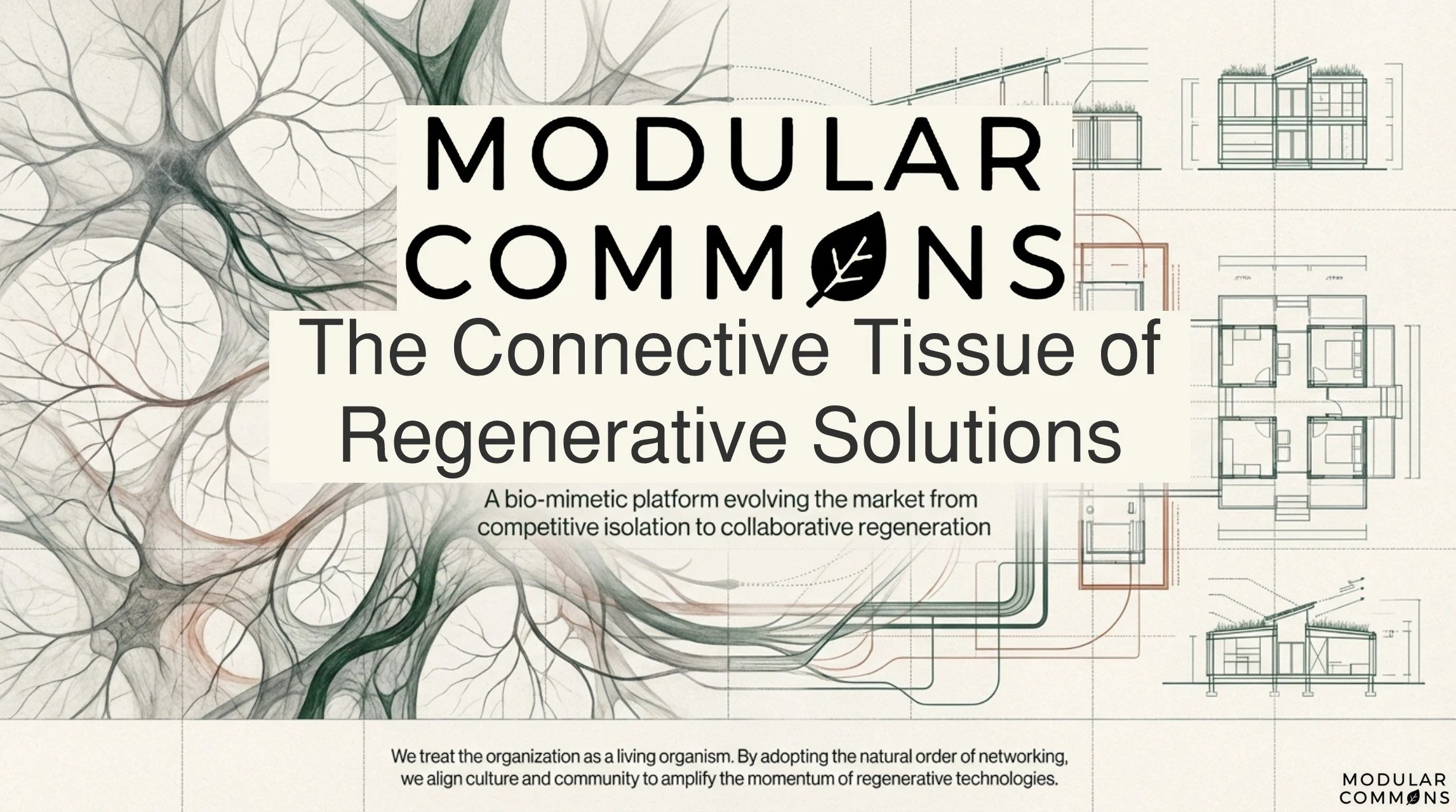 Regenerative_Connective_Tissue Page 001.jpg