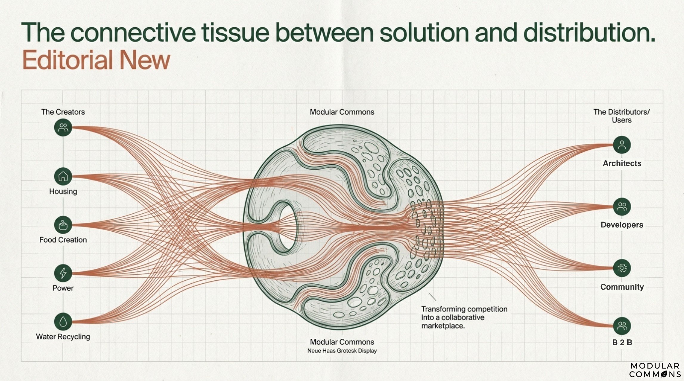 Regenerative_Connective_Tissue Page 004.jpg