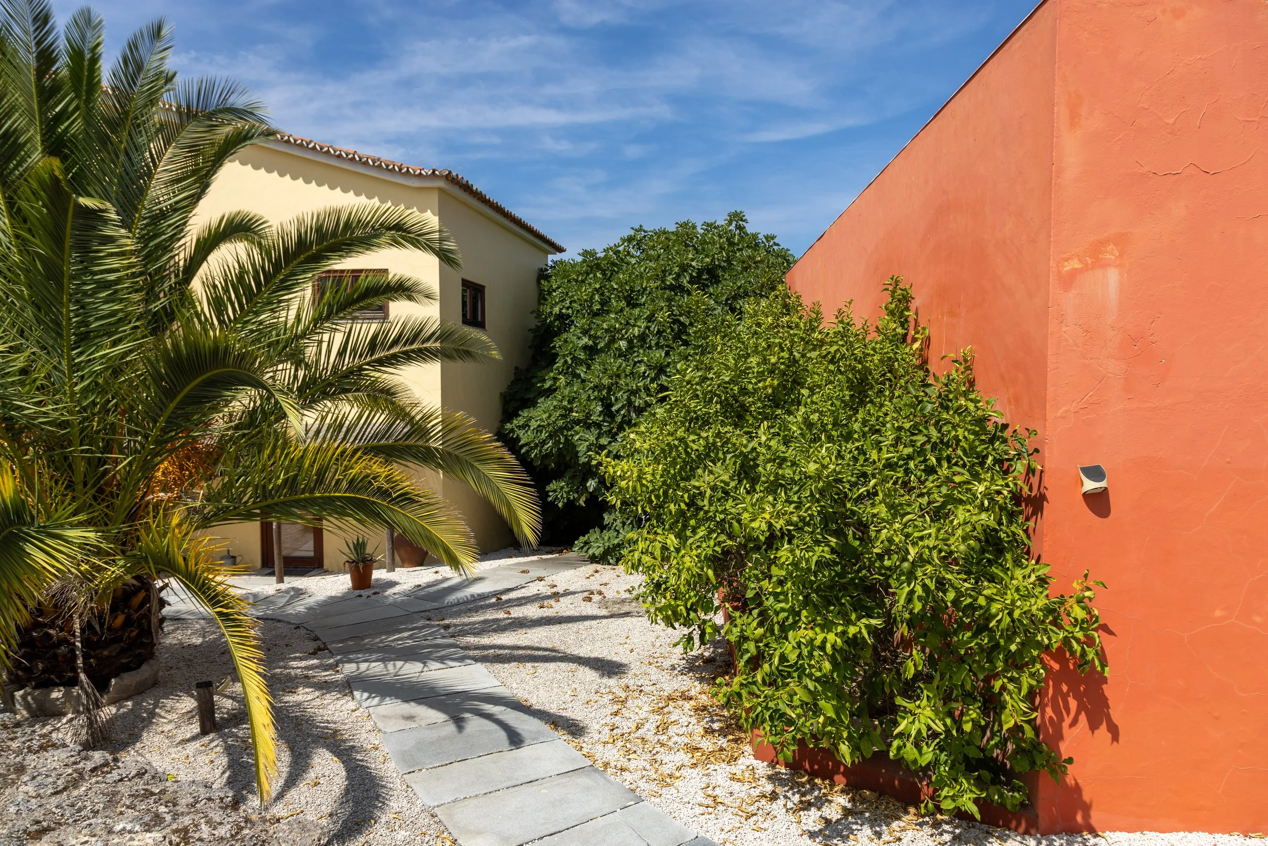 Zitronenbäume auf dem Hof der Bärdade