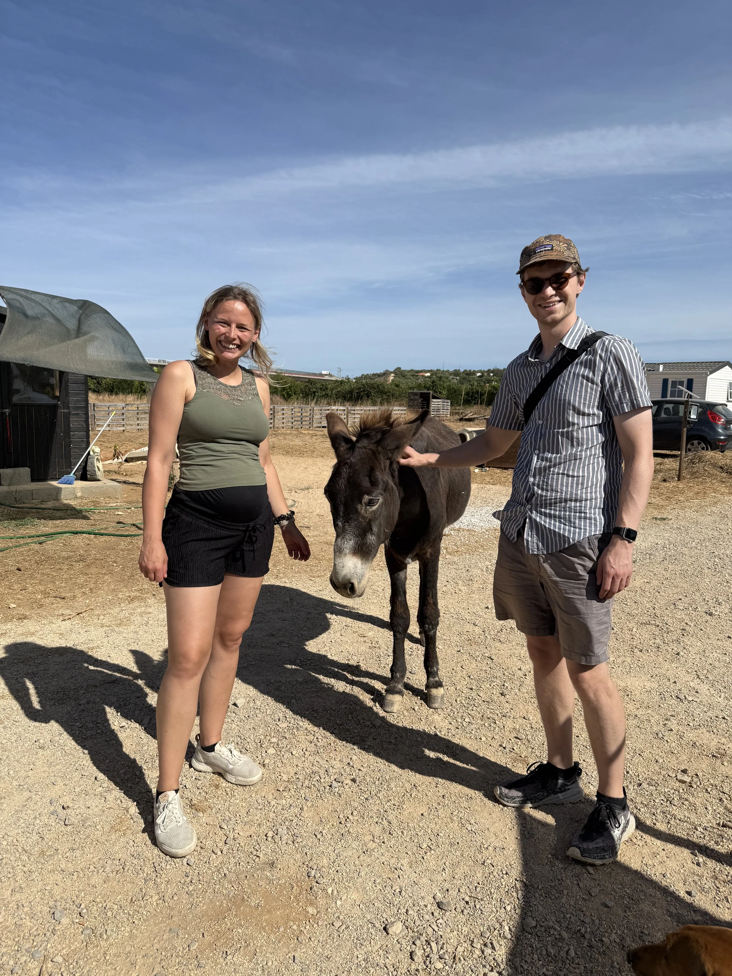 Pia und Max streicheln einen Esel