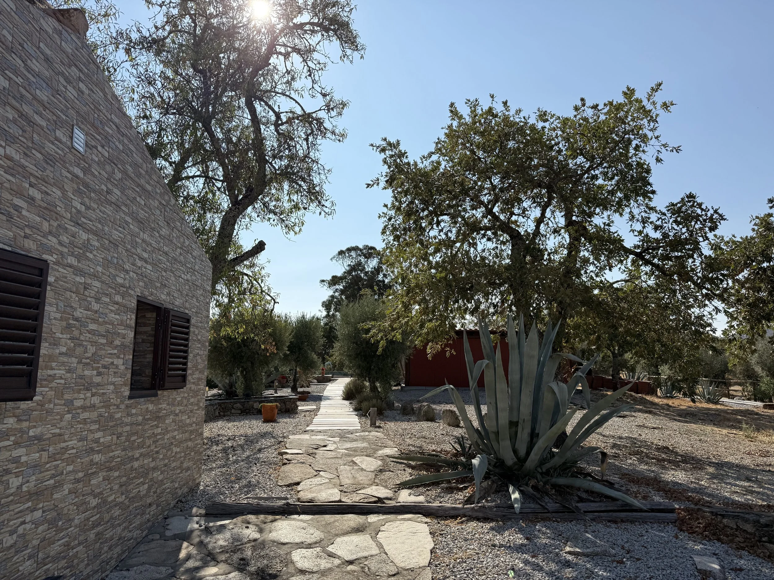 Portugiesische Sonne auf der Bärdade