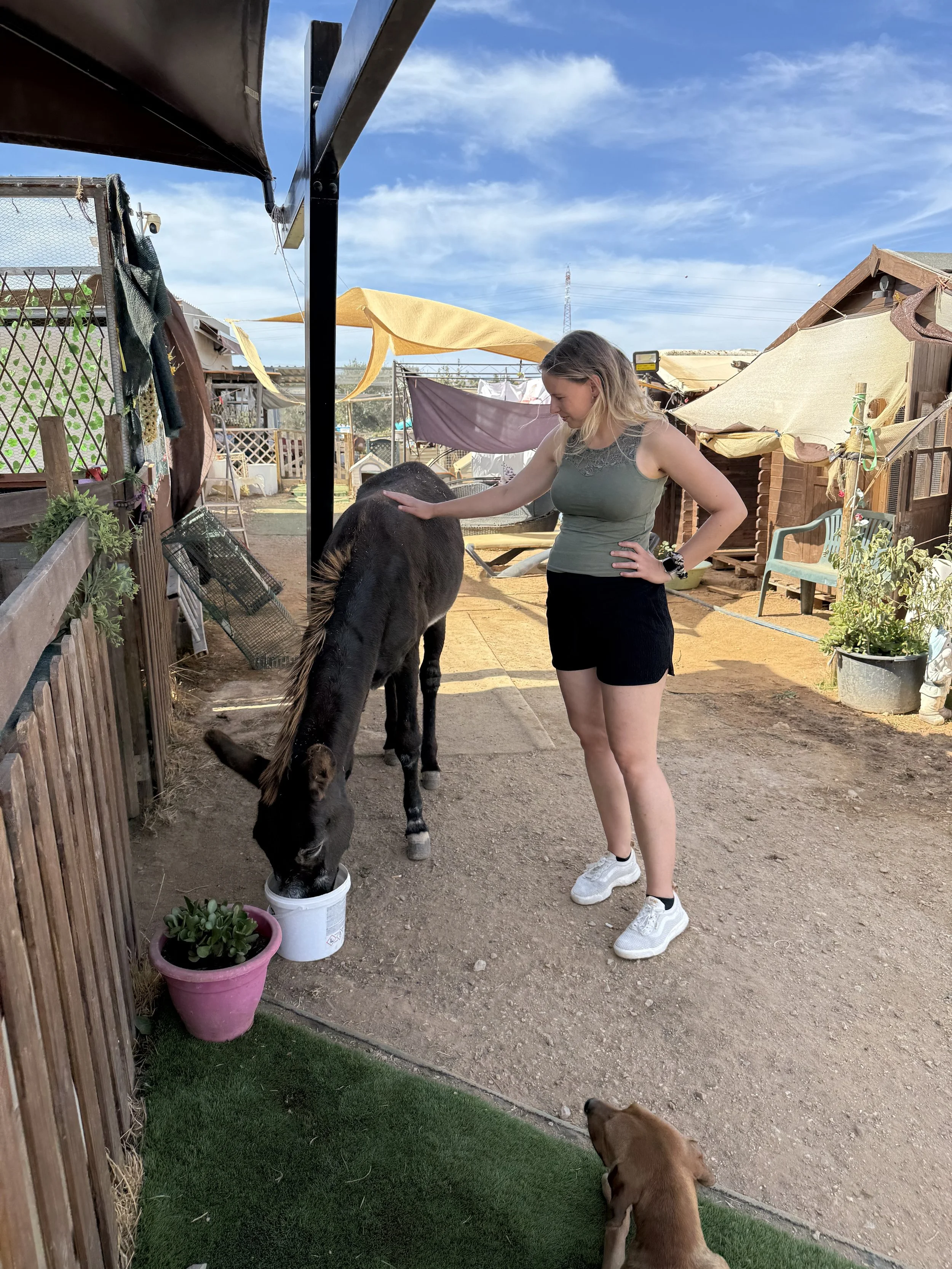 Integratives Ferien-Erlebnisprogramm