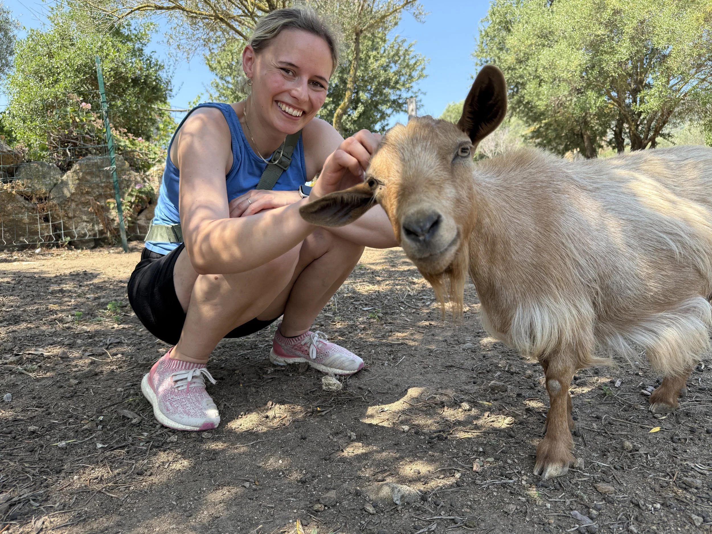 Pia streichelt eine Ziege