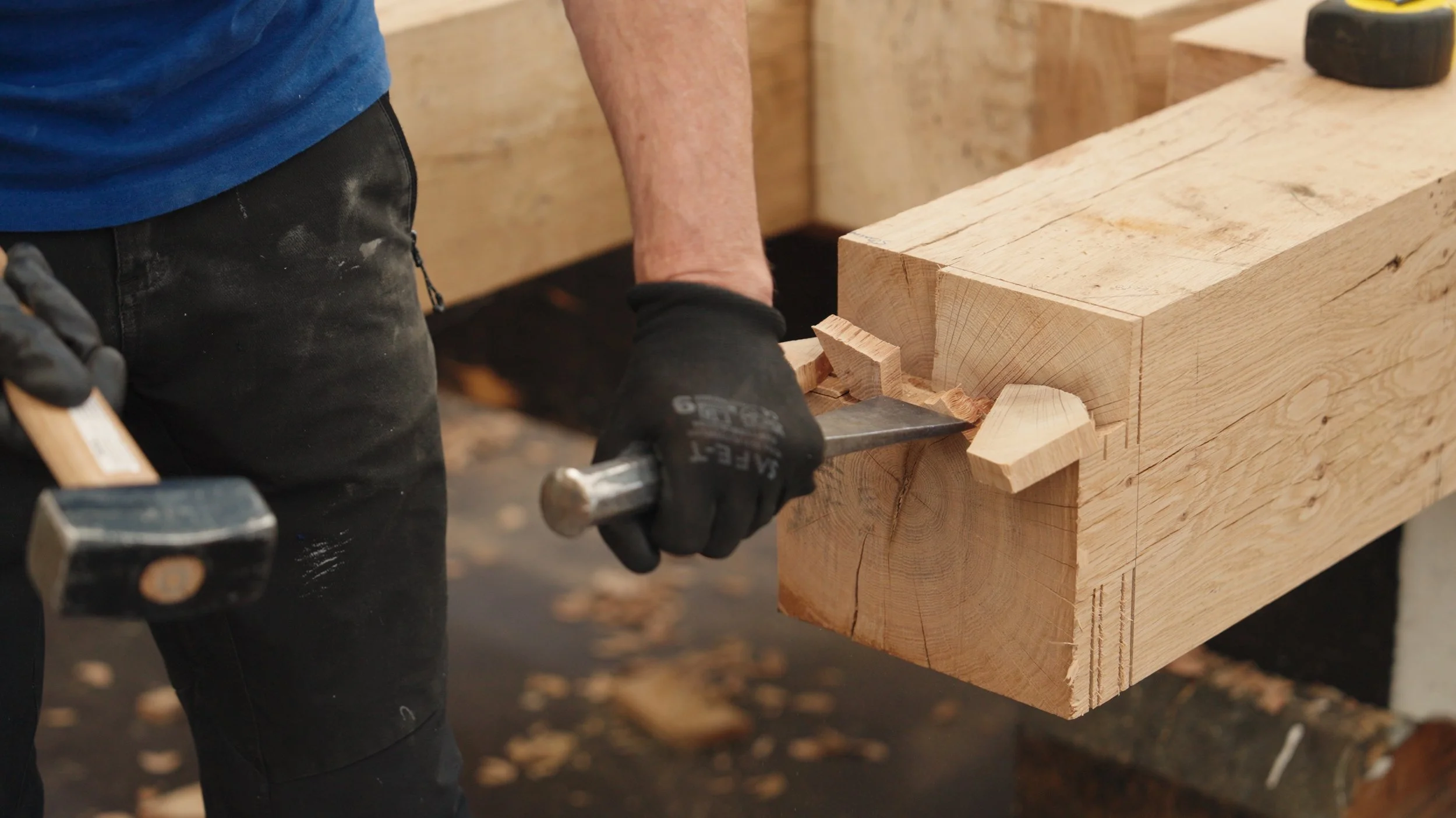 Still 2026-01-23 122407_1.32.1.jpg