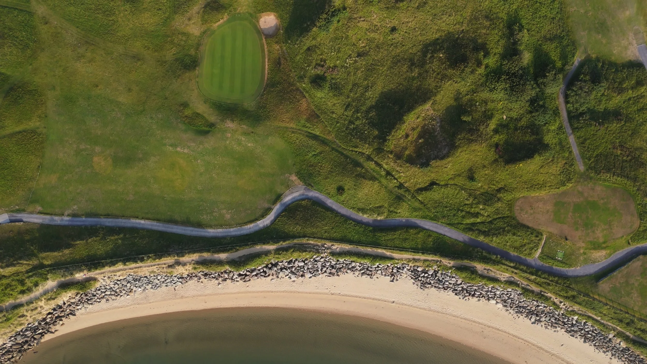 Still 2026-01-21 122009_1.38.1.jpg