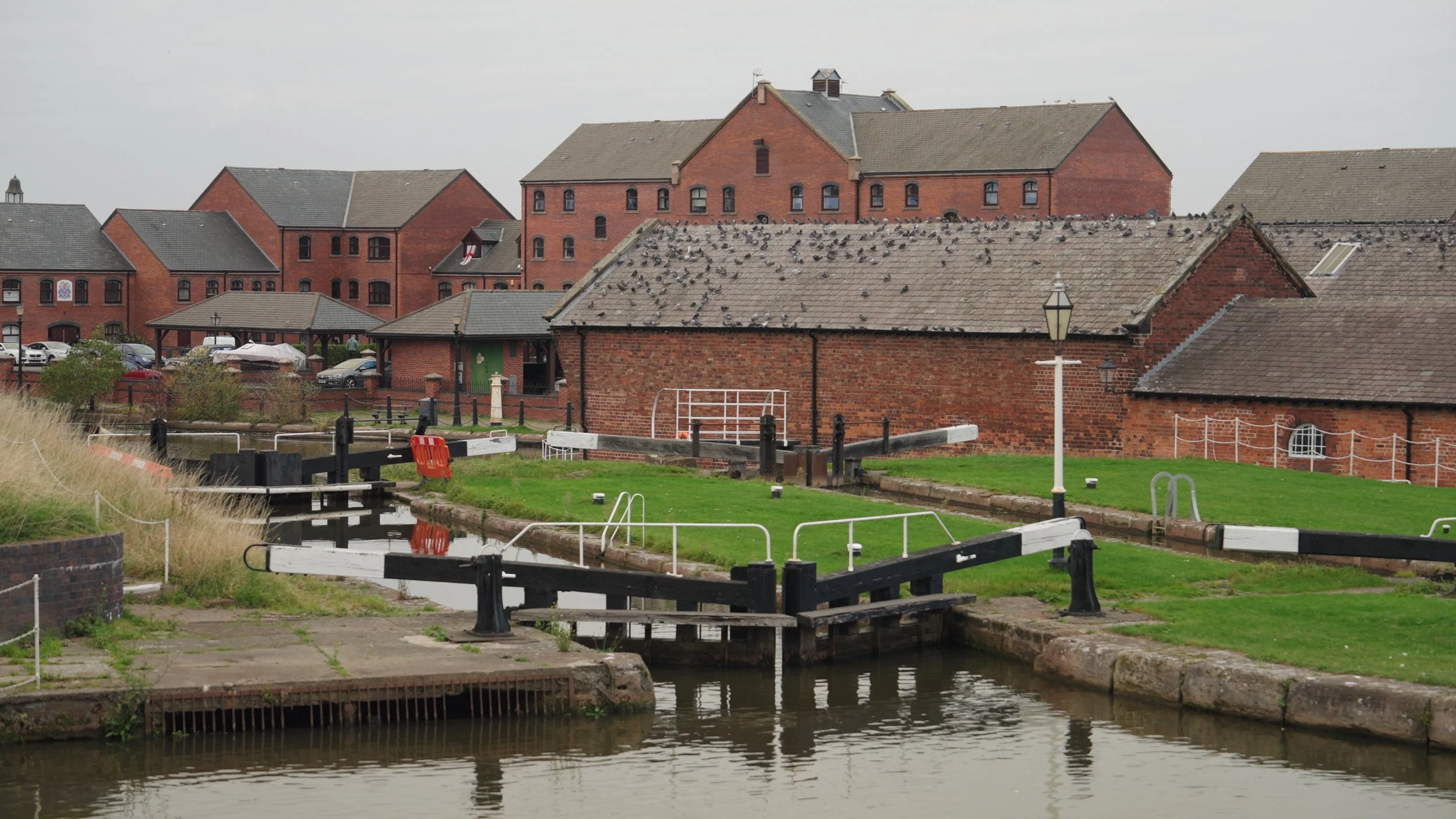 Still 2026-01-23 122407_1.16.1.jpg