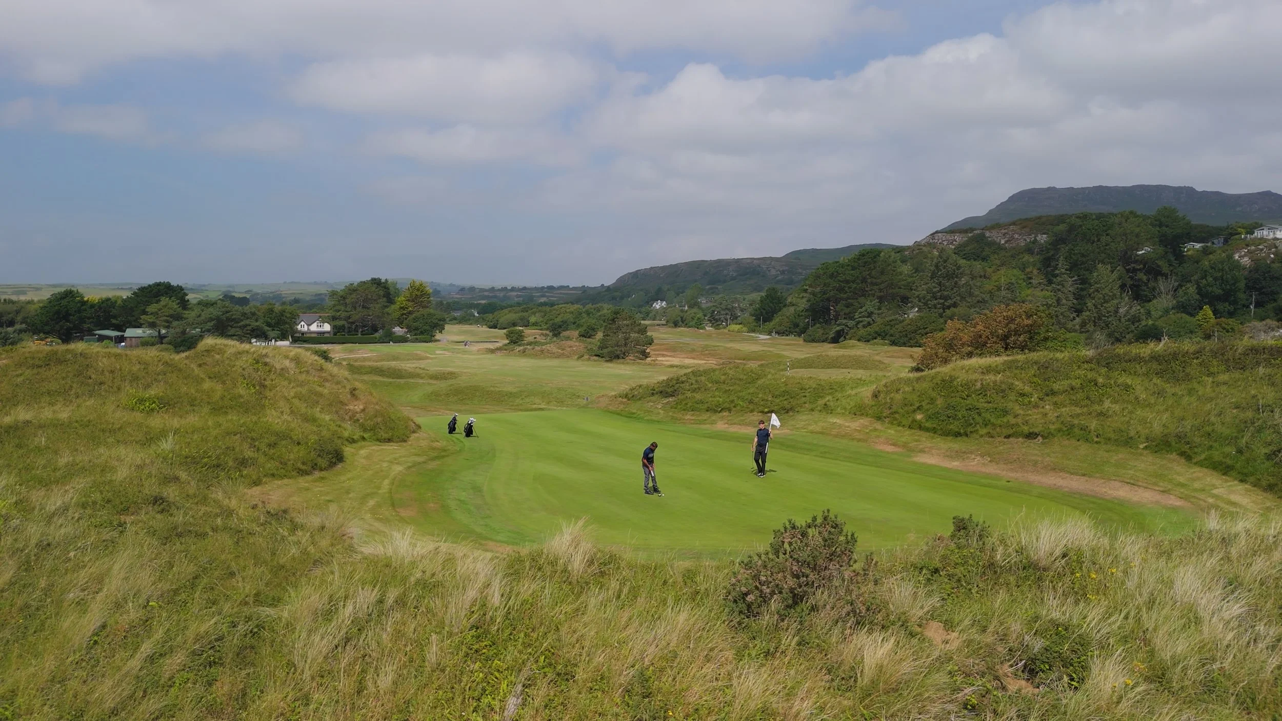 Still 2026-01-21 122009_1.39.1.jpg