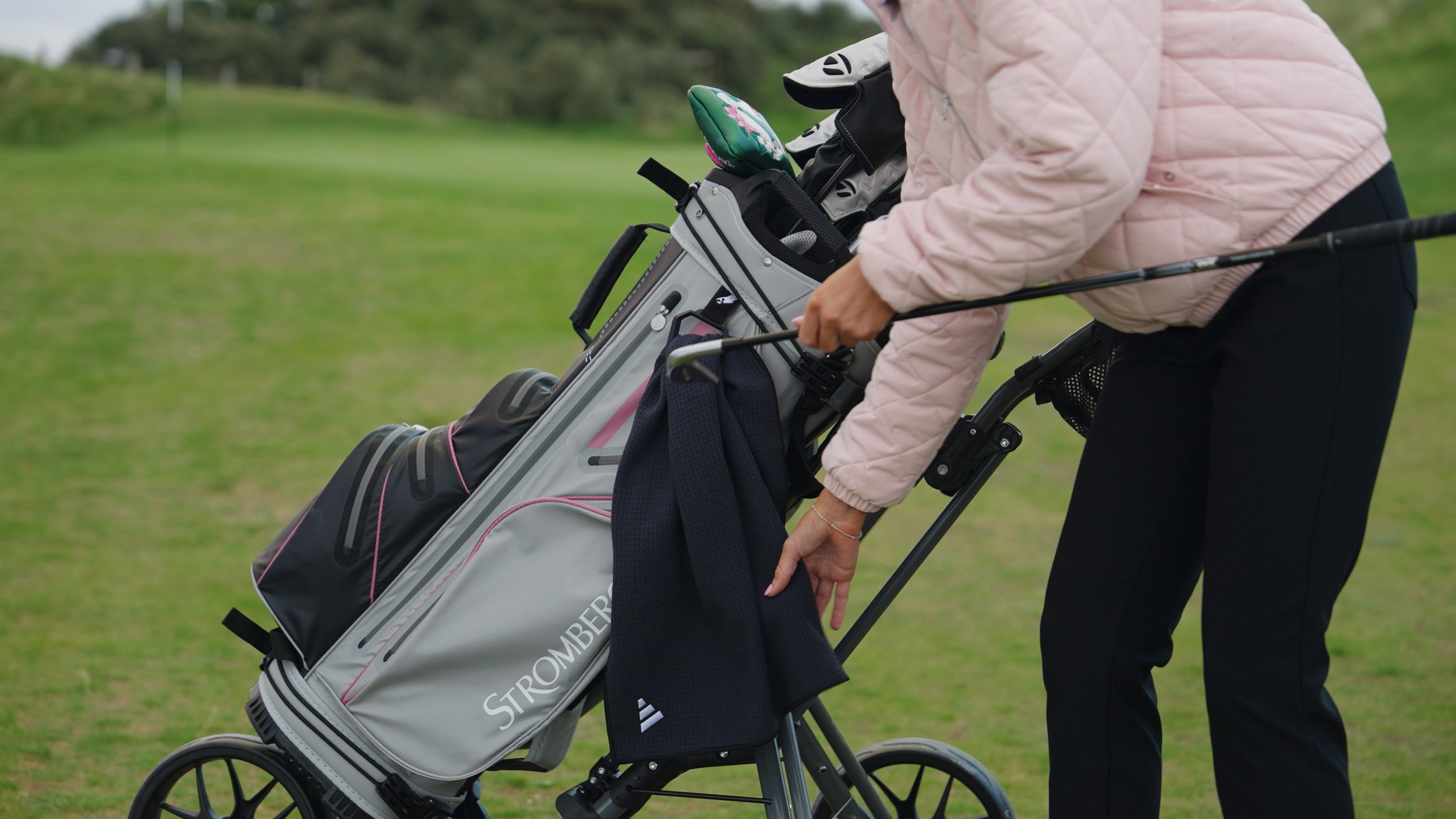 Still 2026-01-21 122009_2.17.1.jpg