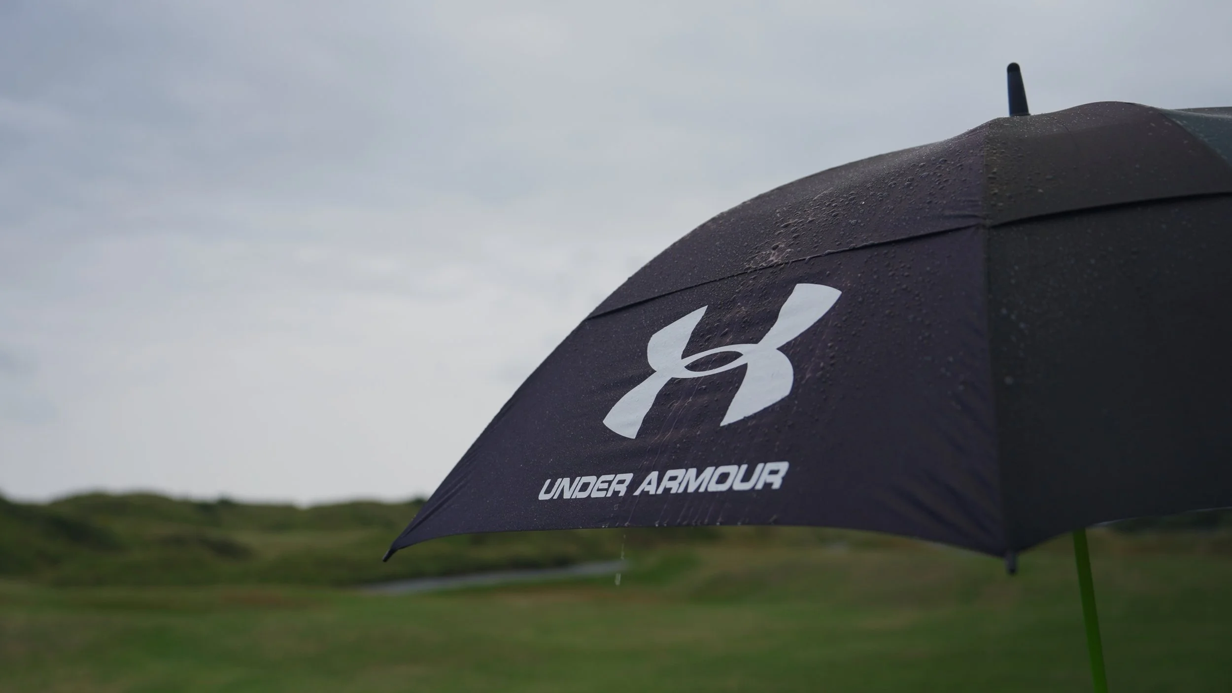 Still 2026-01-21 122009_2.22.1.jpg