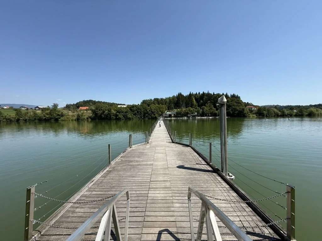 A wooden dock extending over a calm lake with green water, leading to a wooded shore under a clear blue sky.