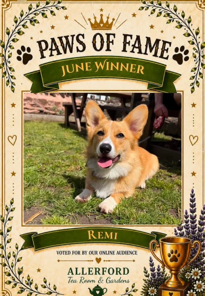 A dog named Remi, the June winner of the Paws of Fame award, sitting on grass with a happy expression, in an award certificate design decorated with paw prints, crown, and floral motifs, from the Tea Room & Gardens in Allerford.