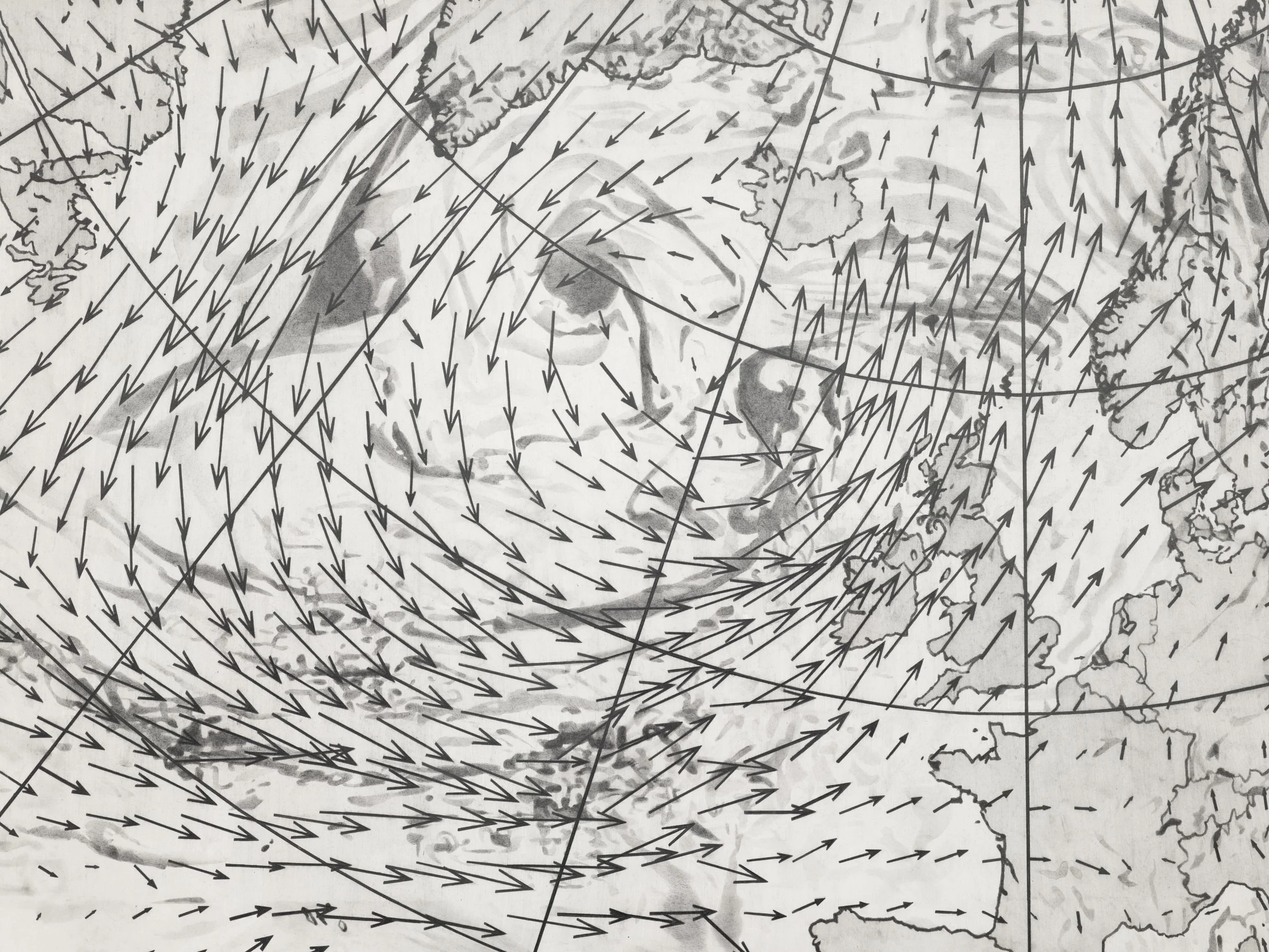 CF013379_low.jpg