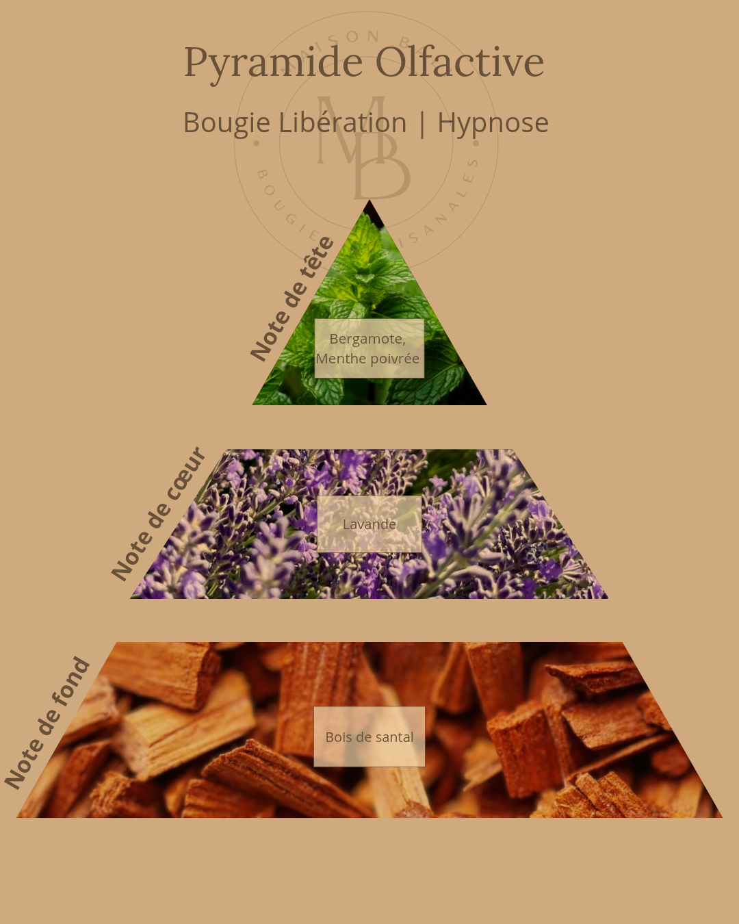 pyramide-olfactive-bougie-lib%C3%A9ration-arret-tabac-addictions-maison-bali.png