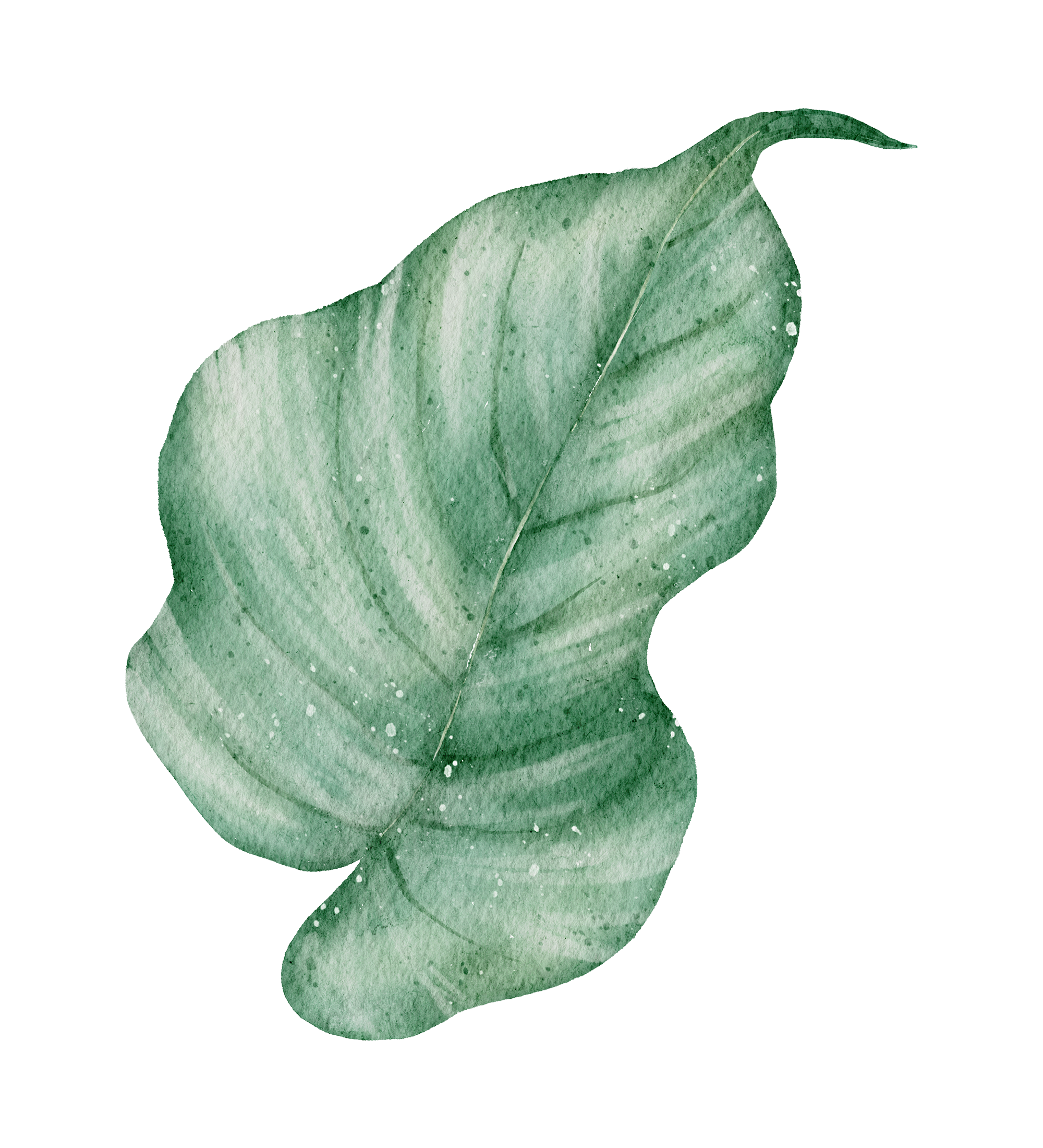 Watercolor painting of a large green leaf with detailed veins and splatter accents.