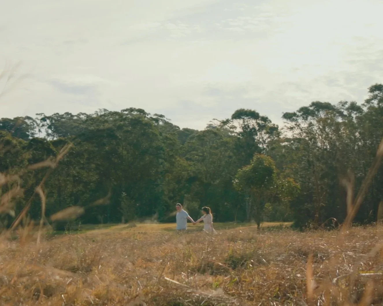 A couple holds hands and walks through a field with tall grass and trees in the background on a sunny day.