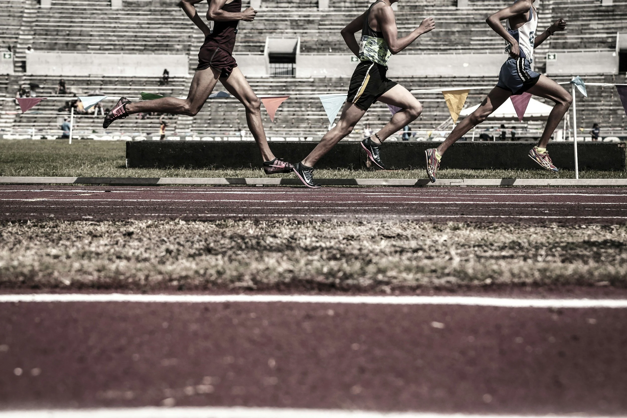 Biomechanics of Speed
