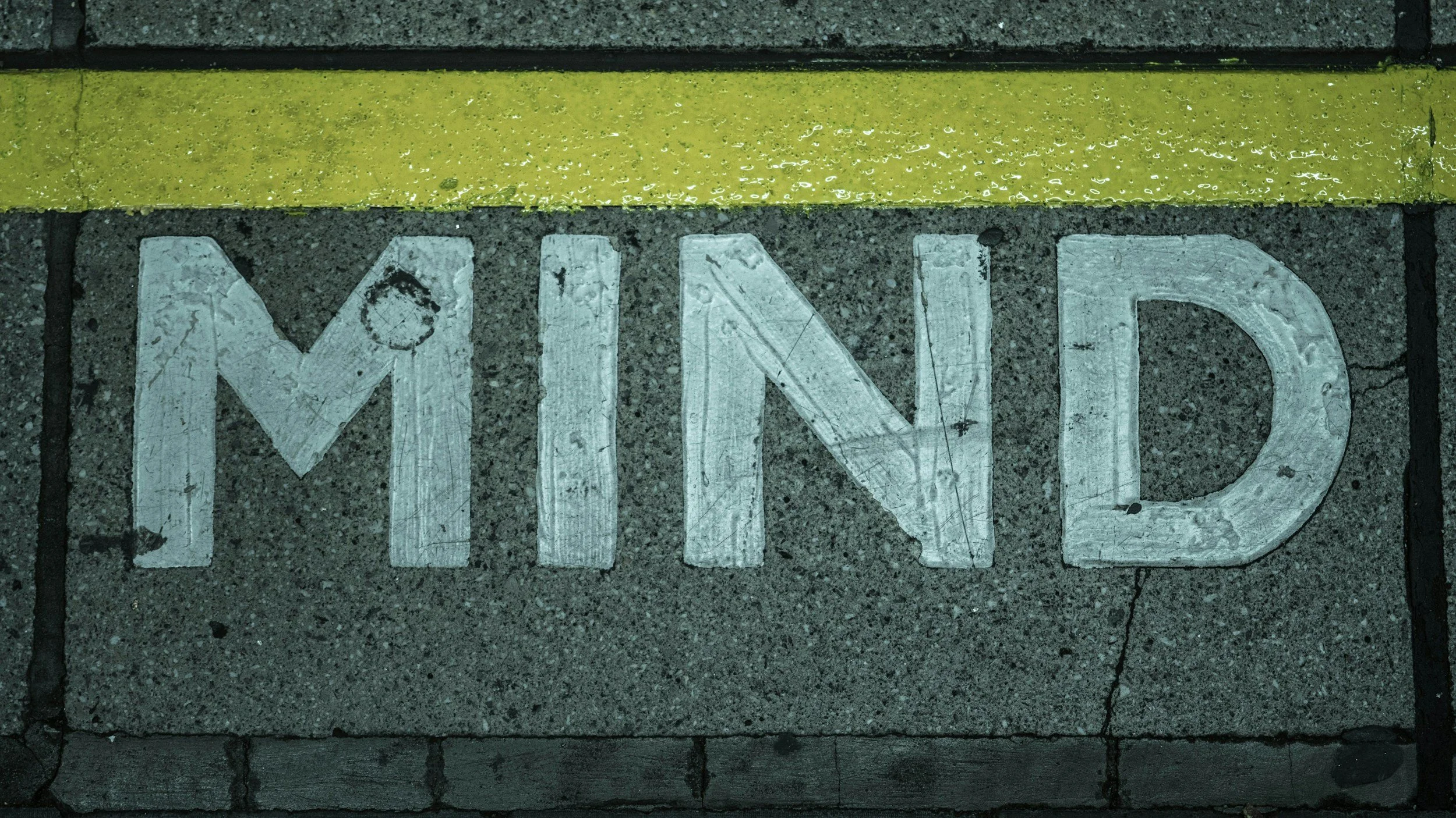 Neuroplasticity Strides