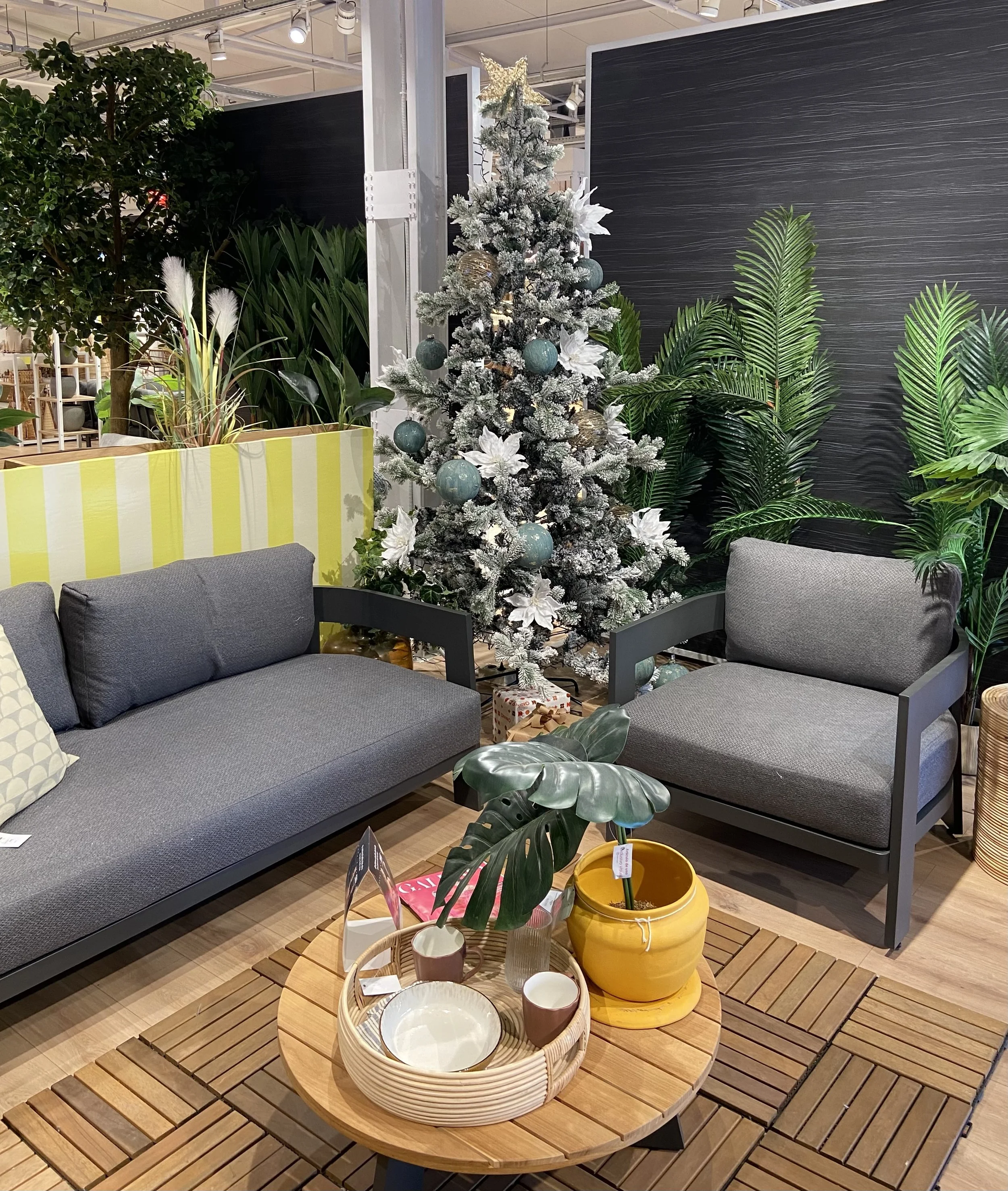 Picnic Chairs &amp; Christmas Trees