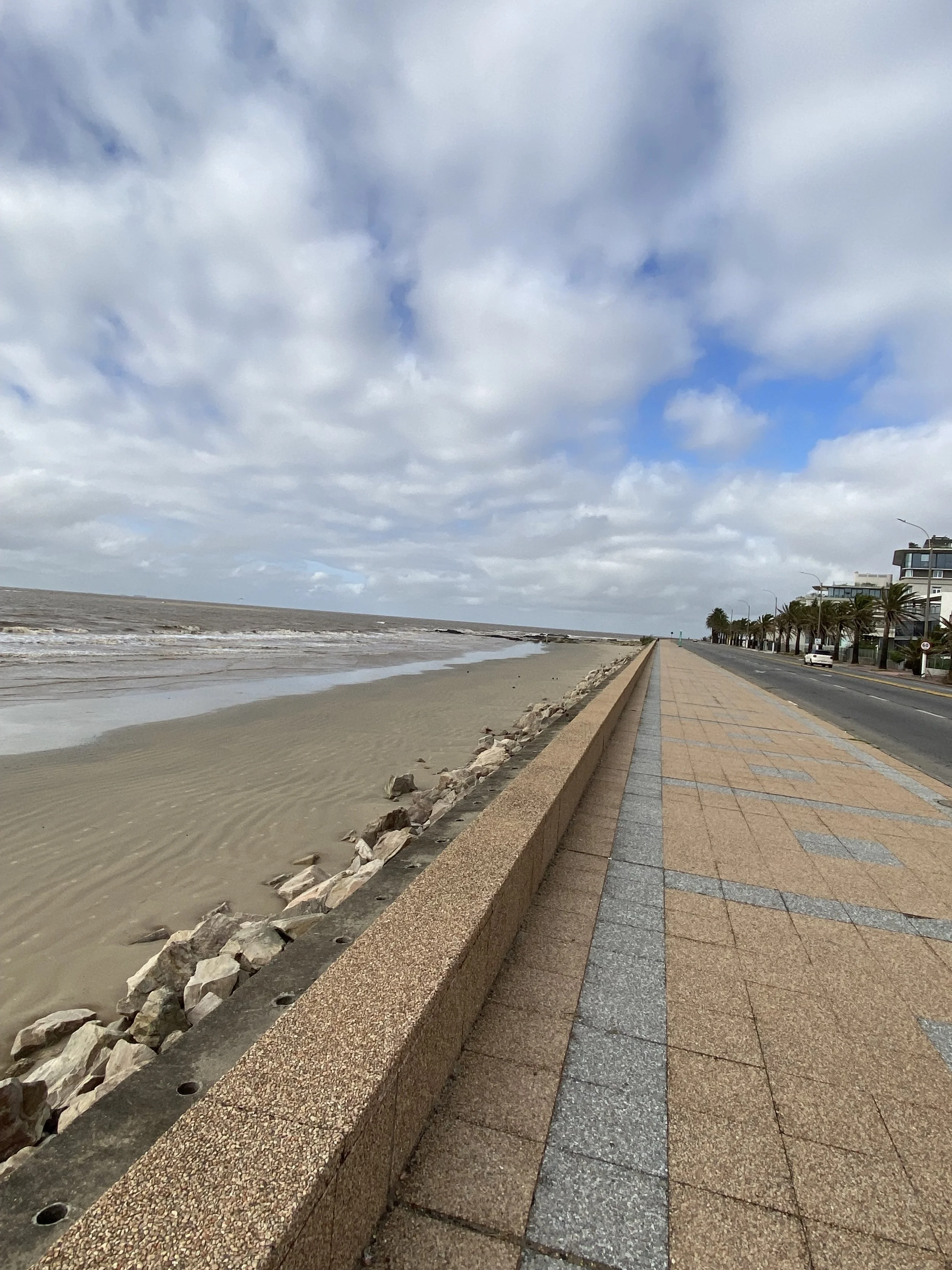 Two Wheels, a Park, and an Ocean