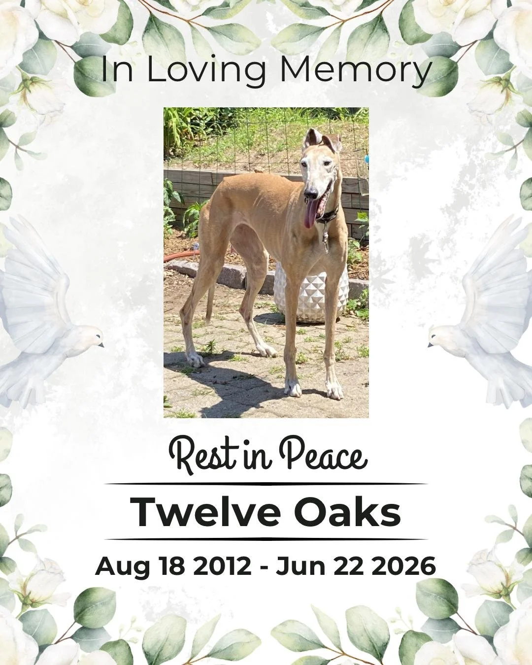 Ten Years of Twelve Oaks