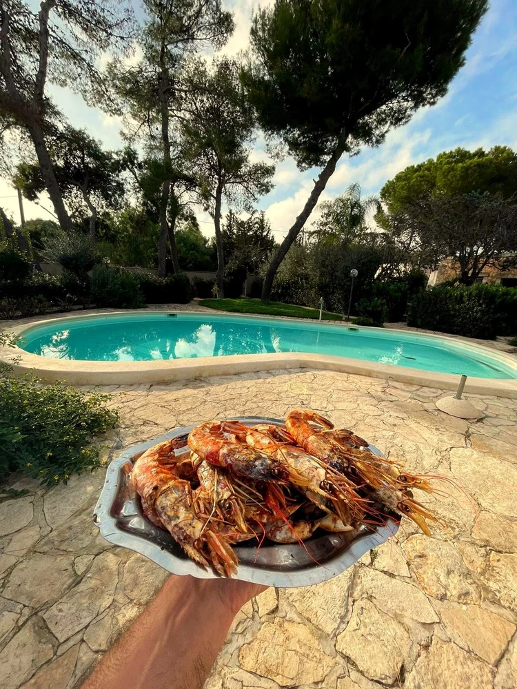 Teller mit gegrillten Garnelen vor dem Pool der Villa