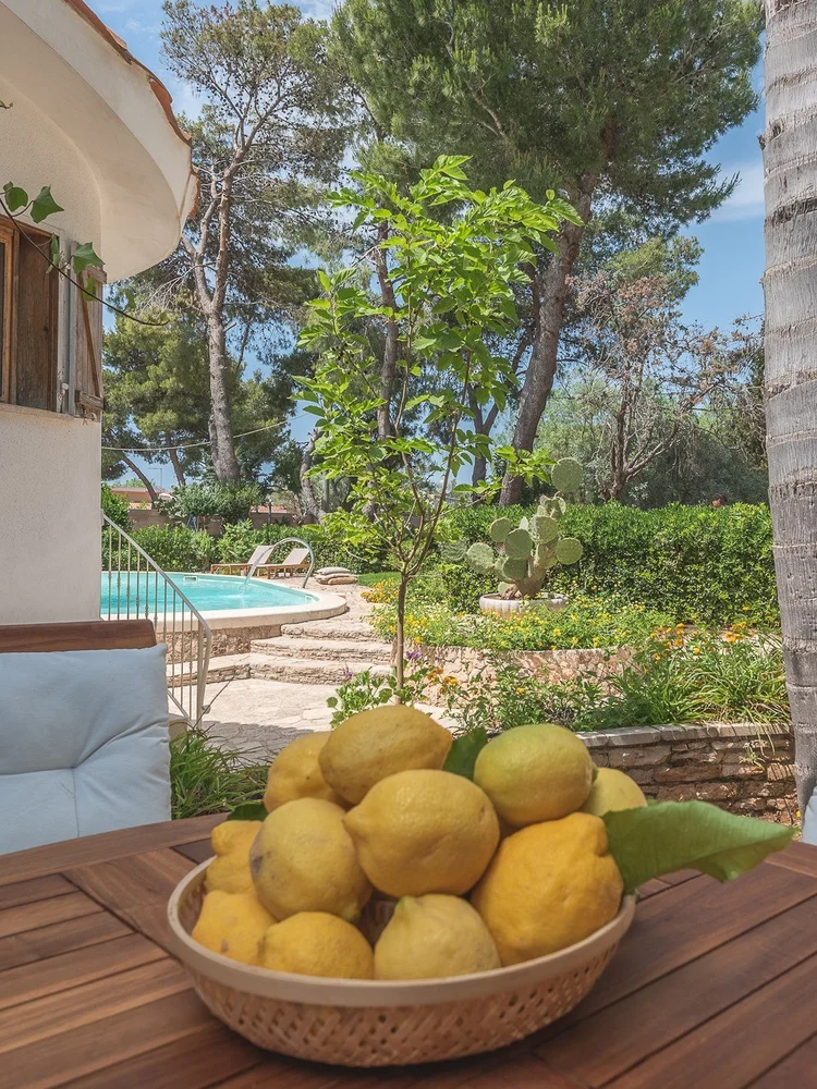 Korb mit Zitronen auf dem Gartentisch, dahinter Pool und Garten der Villa
