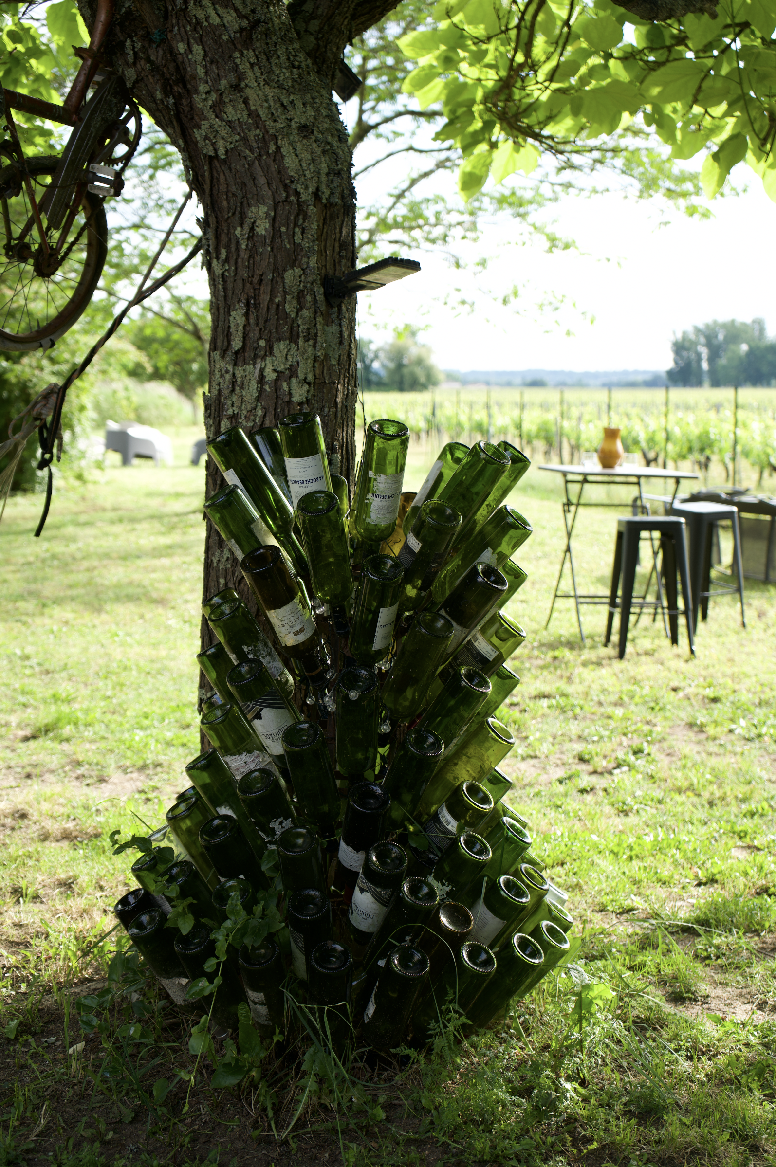 Domaine Château Bigaroux.png