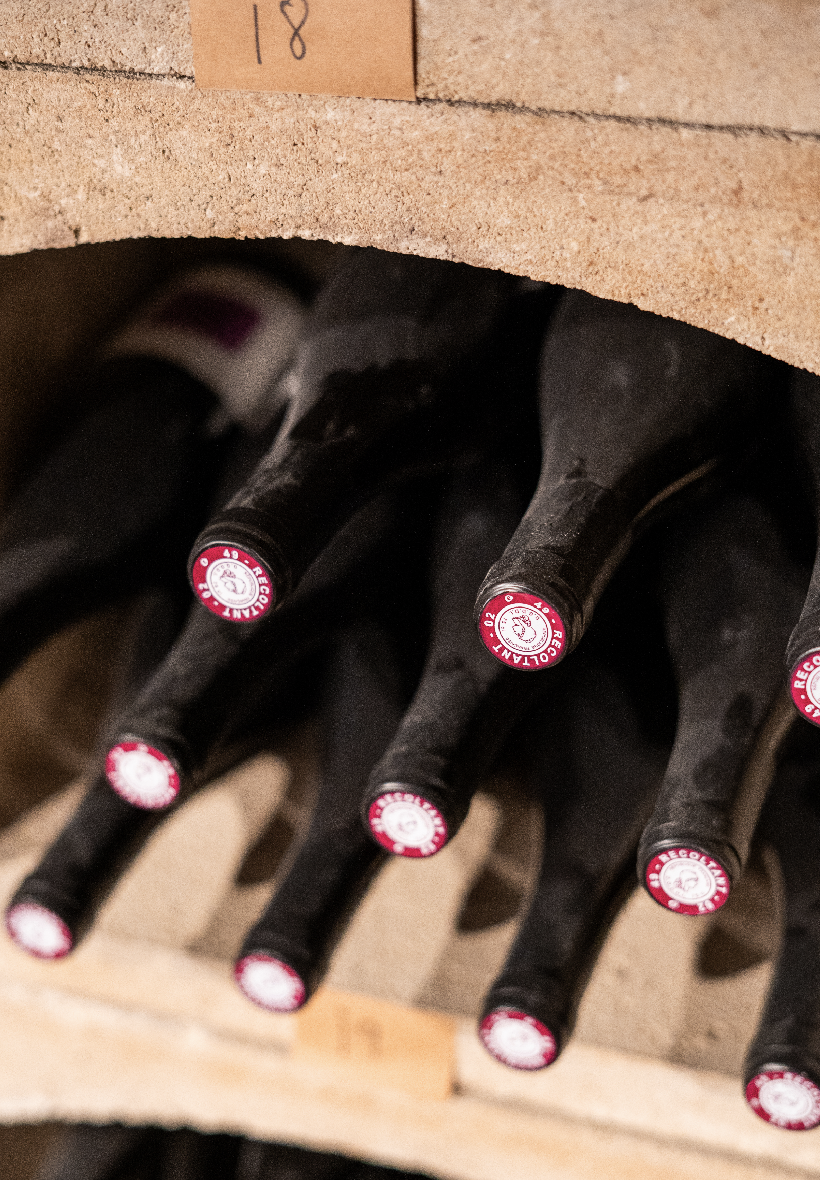 La cave de Radicelle : des bouteilles, mais surtout des convictions