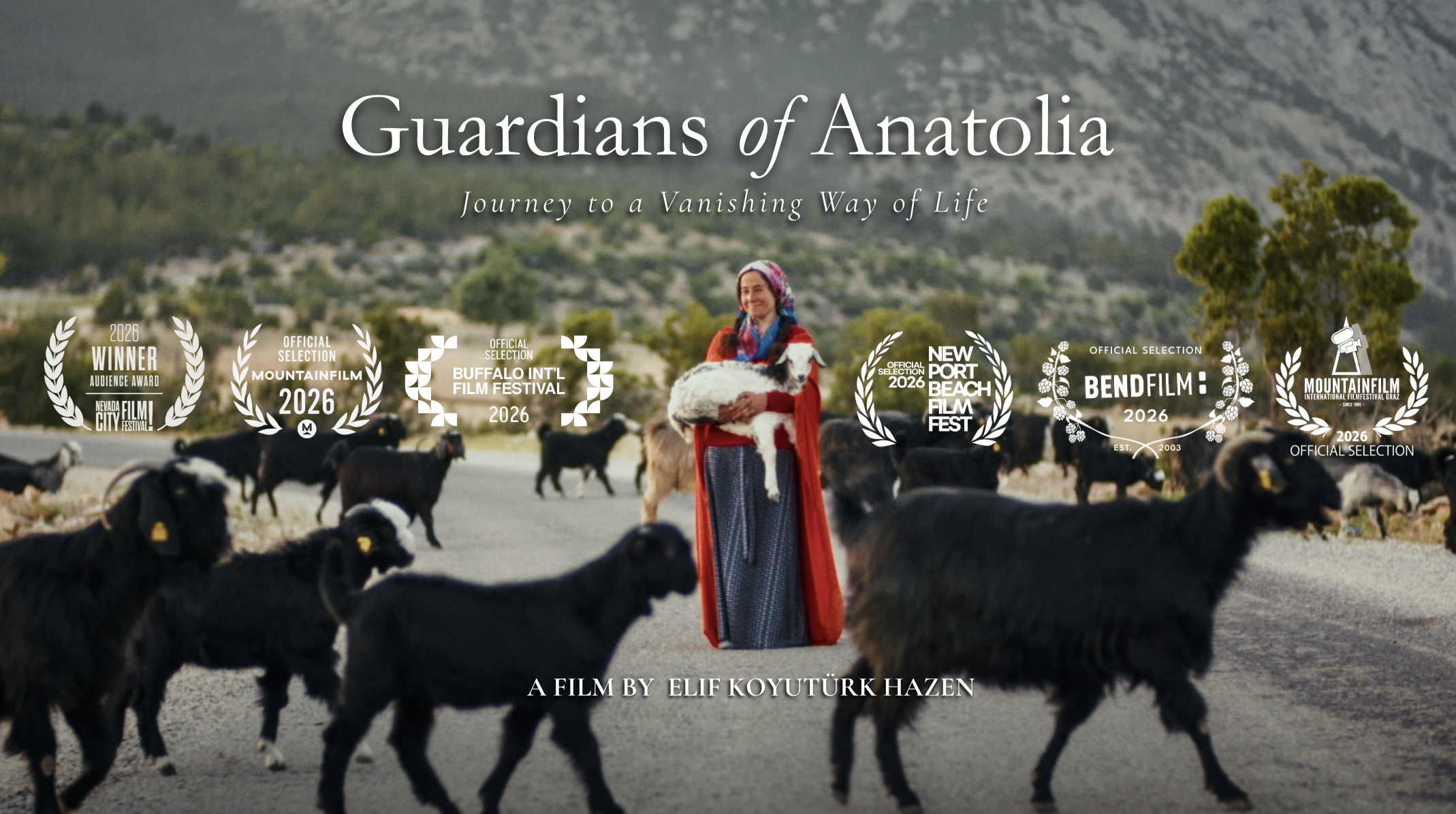 Guardians of Anatolia: Festival Journey