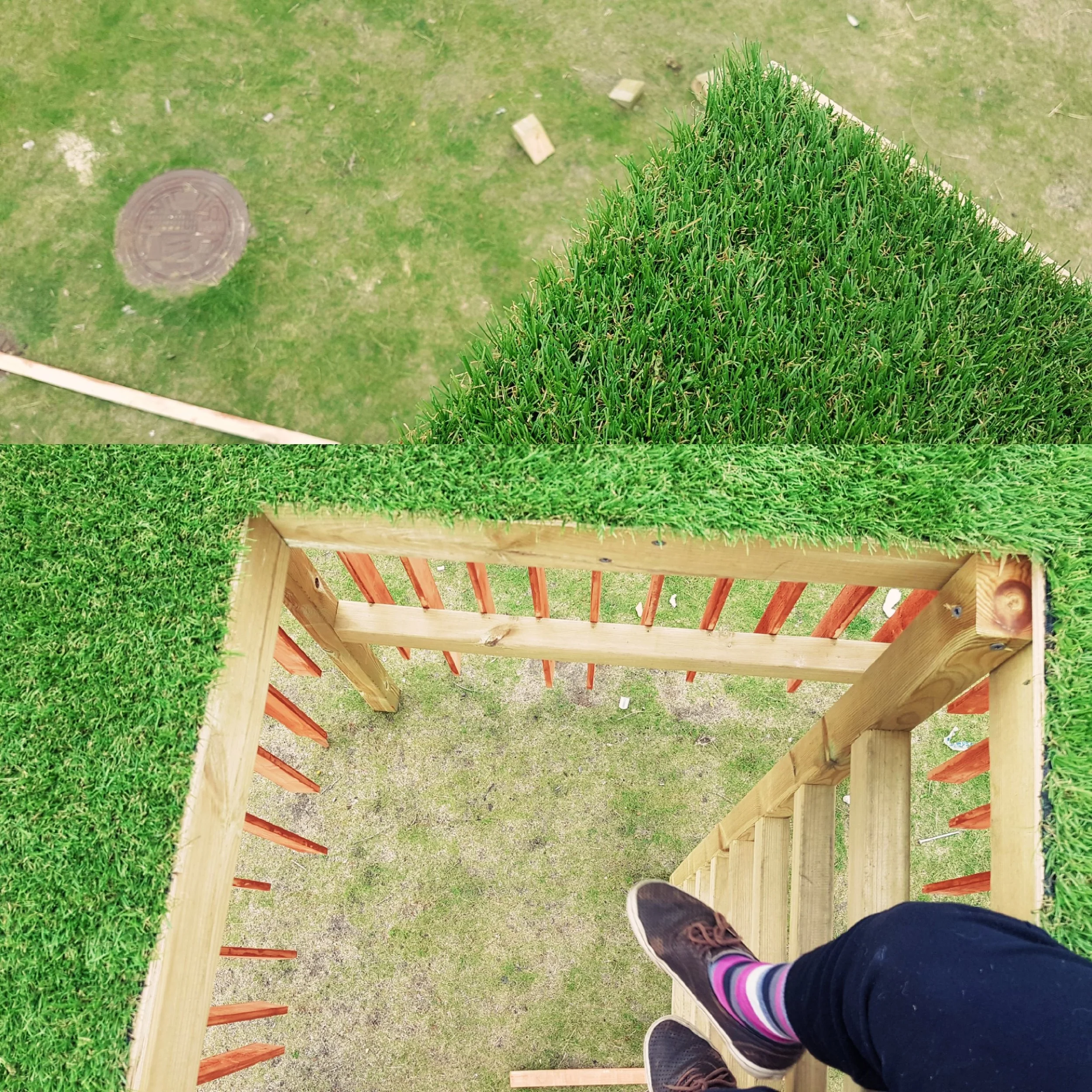 Looking down a wooden ladder with artificial turf sides, with a person's feet visible wearing black shoes and striped socks, above a grassy outdoor area with a manhole cover and scattered debris.