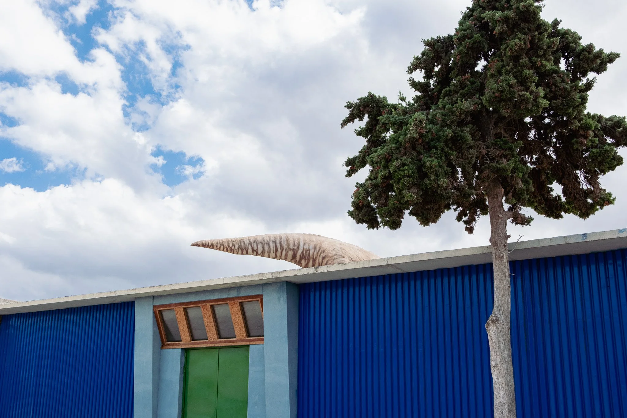 Part of a building with blue siding, a green door, small windows, a tree, and the nose of a whale sculpture protruding from the roof against a cloudy sky.