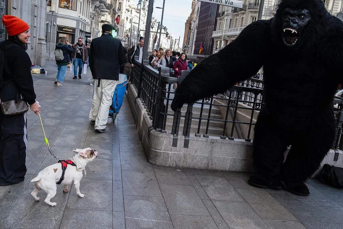 A large gorilla costume character standing on a city sidewalk near a black fence, facing people. A woman is walking a small dog on a leash, and several people are walking and standing nearby.