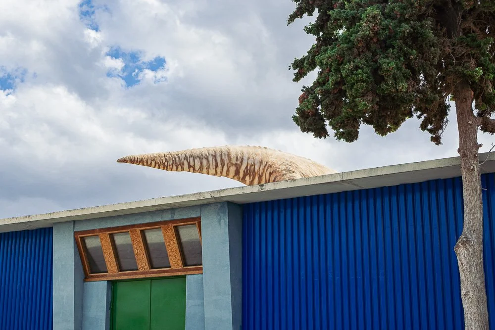 A large dinosaur claw sticking out from the roof of a blue building, with a tree and cloudy sky in the background.