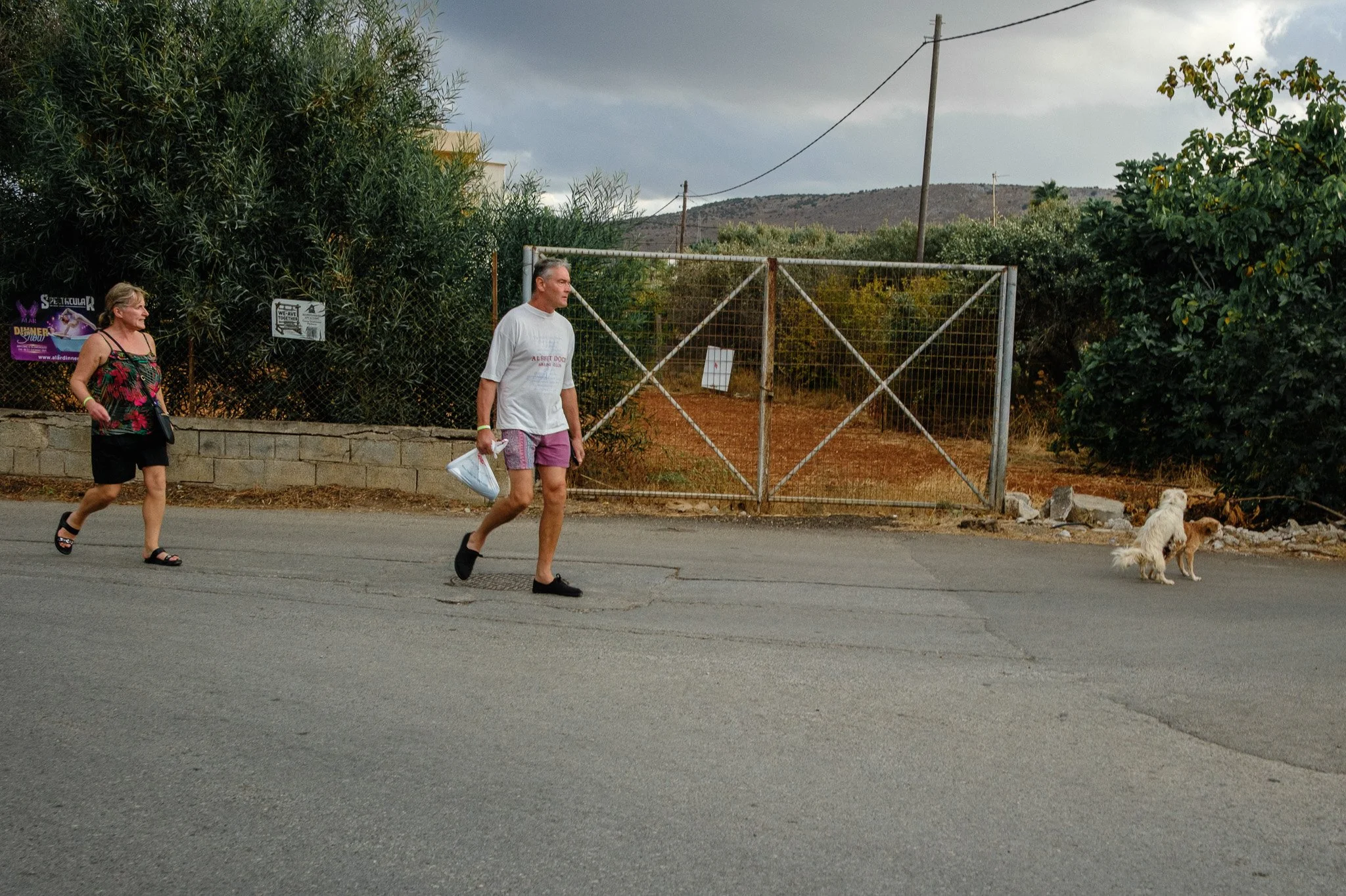 Two women and a man walking on a paved road near a metal gate and trees; one woman is wearing a floral top and shorts, the man is in a white T-shirt and shorts, one woman has a purse, and two dogs are tied near the gate.