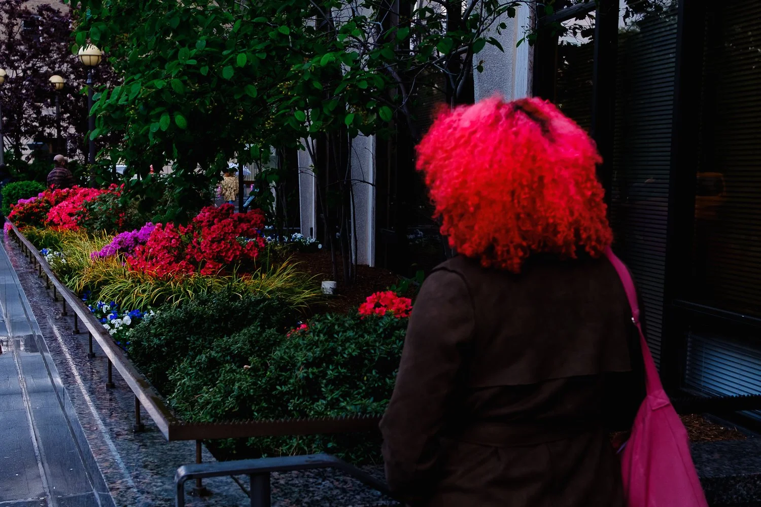 A person with bright pink curly hair and a pink bag standing near a vibrant flower bed with various colorful flowers and greenery in an outdoor setting.