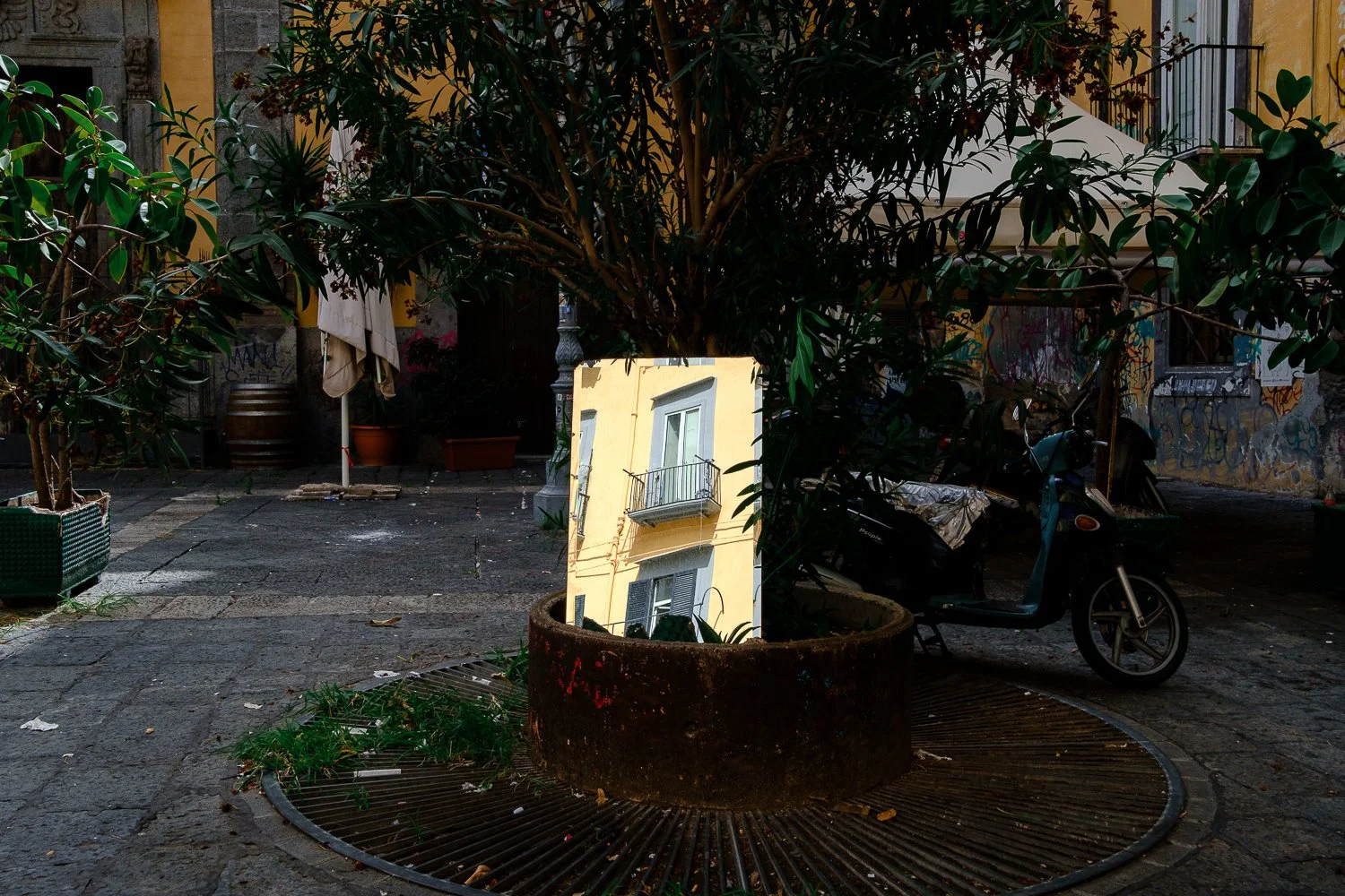 A street scene with a large tree planted in a circular concrete planter, which contains a reflective mirror showing an adjacent yellow building with windows and a small balcony. The street has potted plants, a motorcycle or scooter parked near the tr