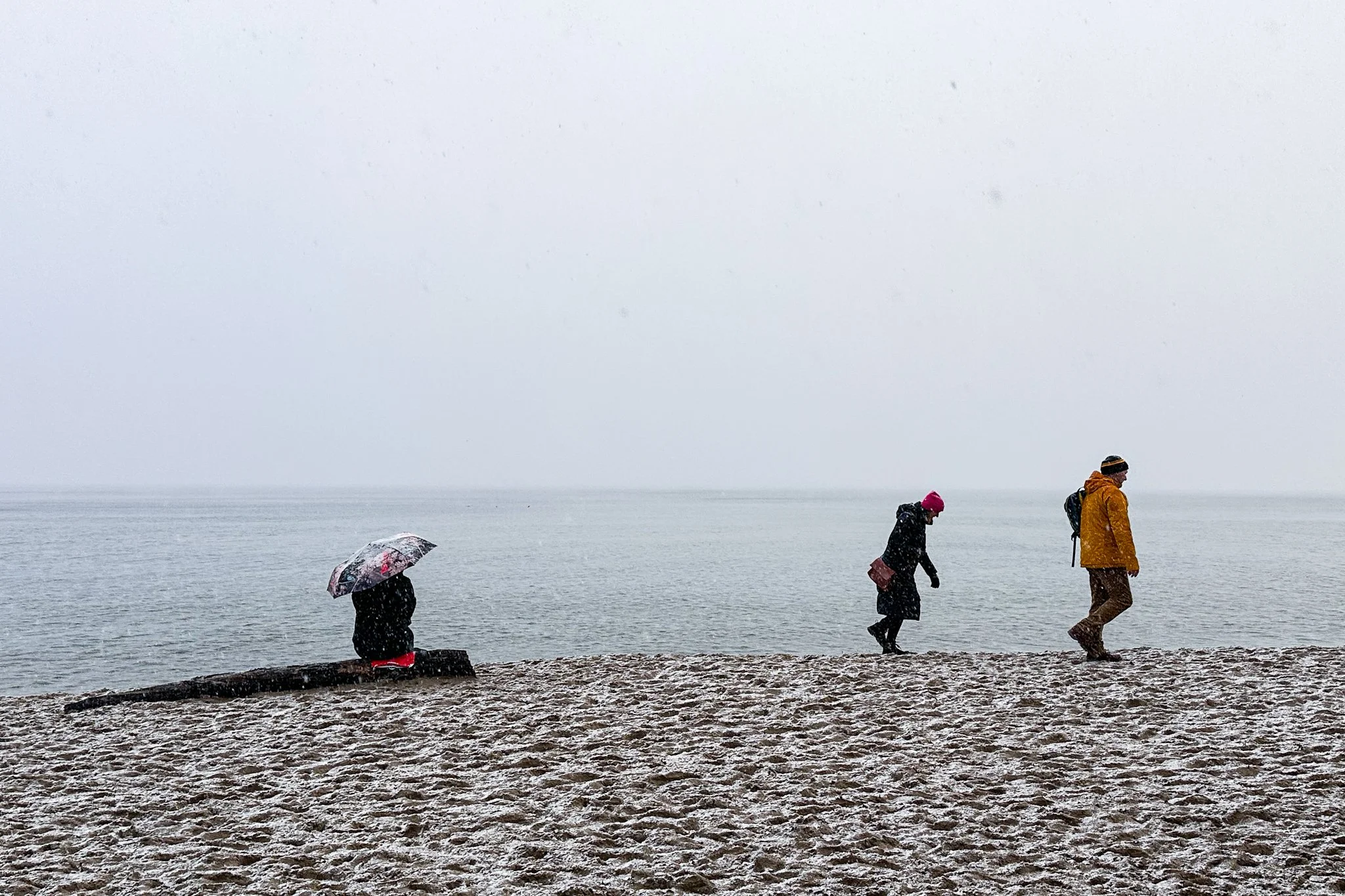 Three people walking along a snow-covered beach in cold weather, one sitting with an umbrella, the others wearing winter jackets and hats, with a cloudy sky and water in the background.