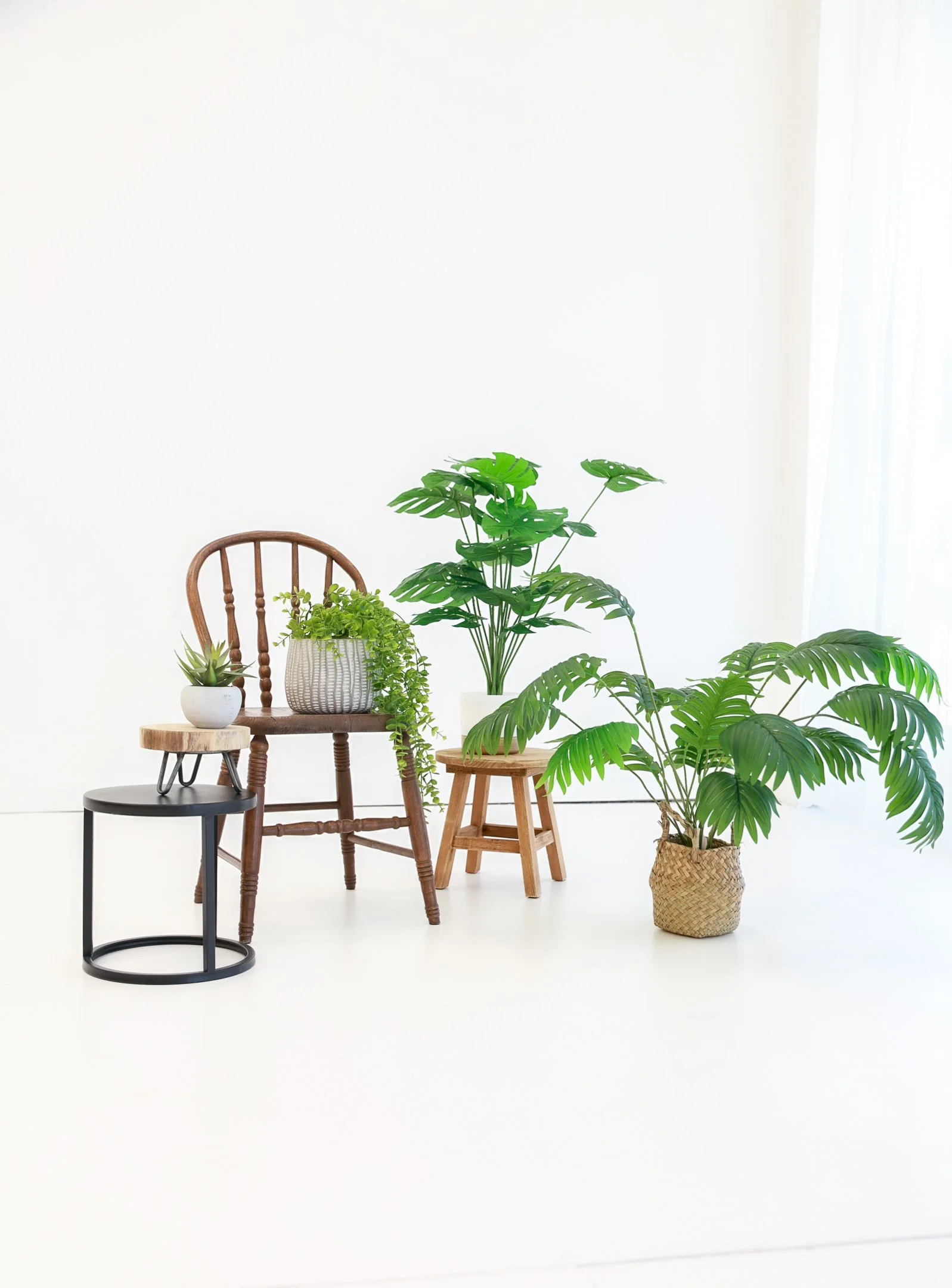 Plants & Plant Stands