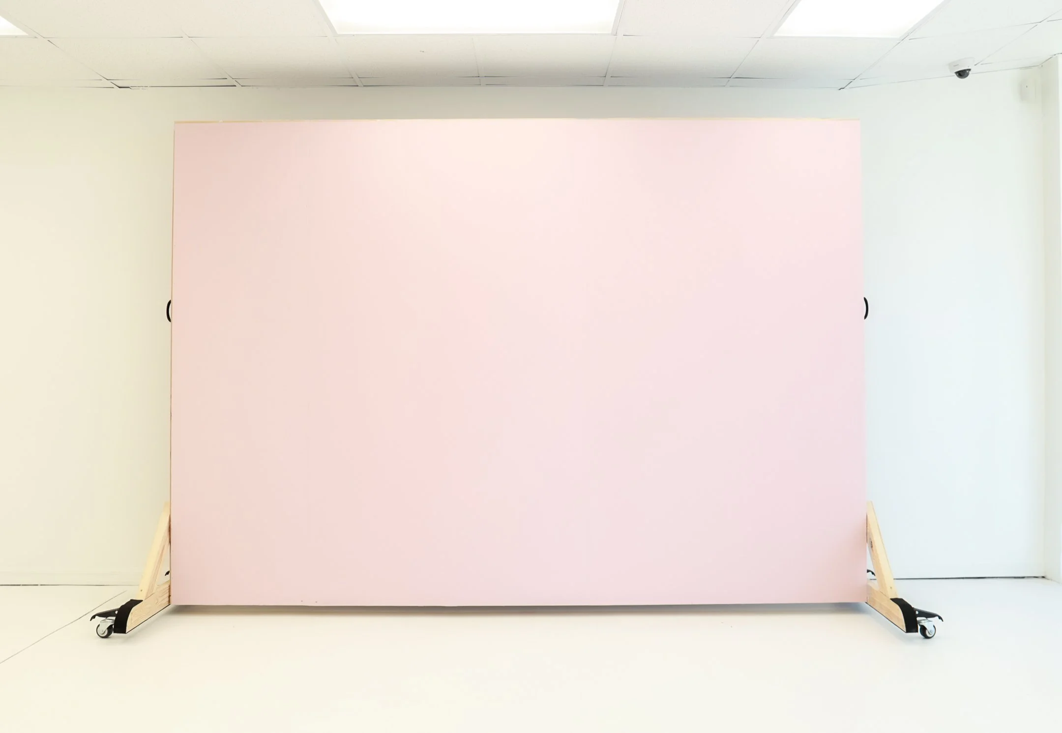 Pink Rolling Backdrop