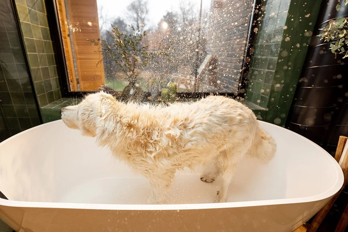 Mobile Dog Bath in Leander, TX, and Surrounding Areas