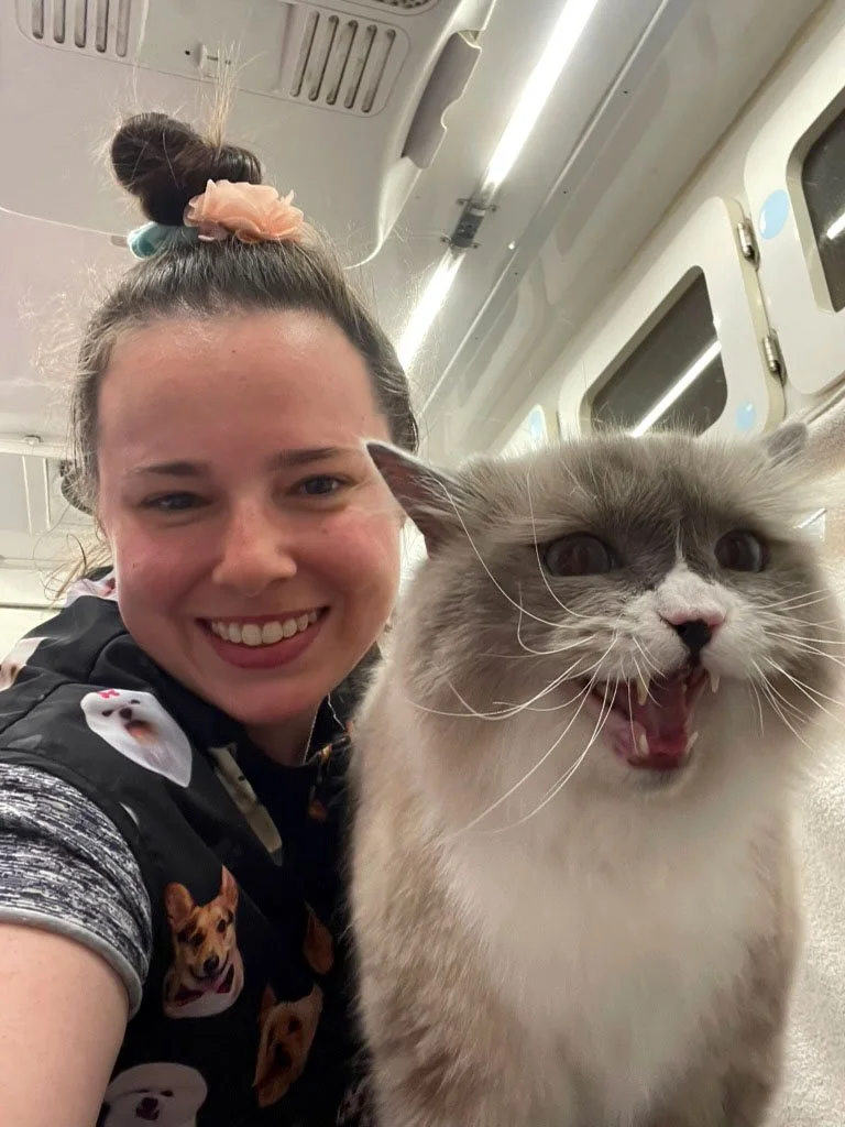 woman in mobile grooming salon with cat