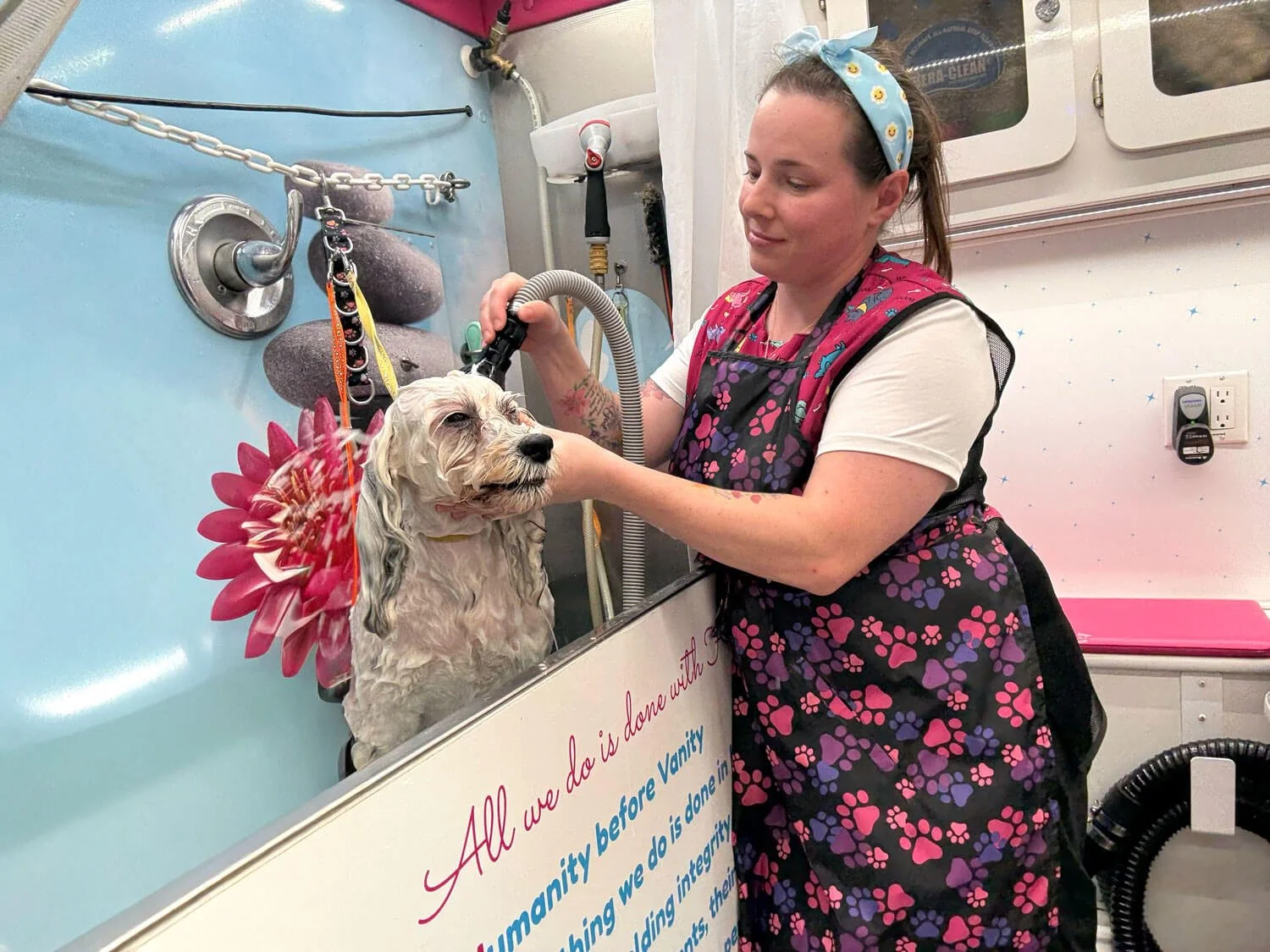 dog groomer in mobile van bathing dog in cedar park texas
