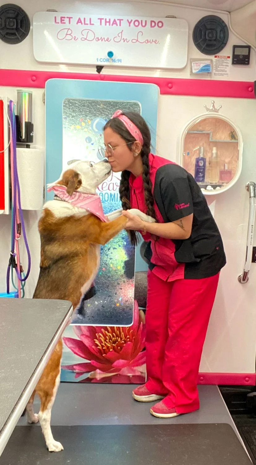 dog standing up kissing dog groomer