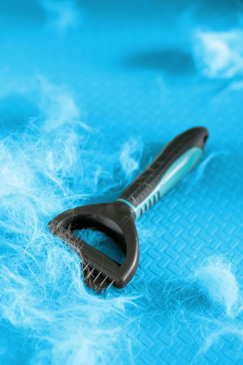 deshedding brush on table with dog hair