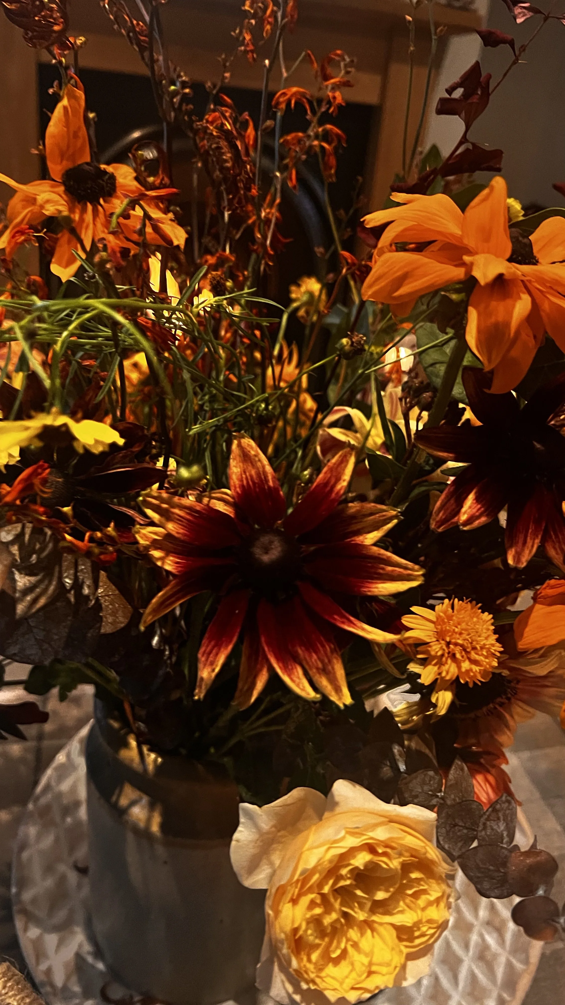 IMG_0299.jpeg