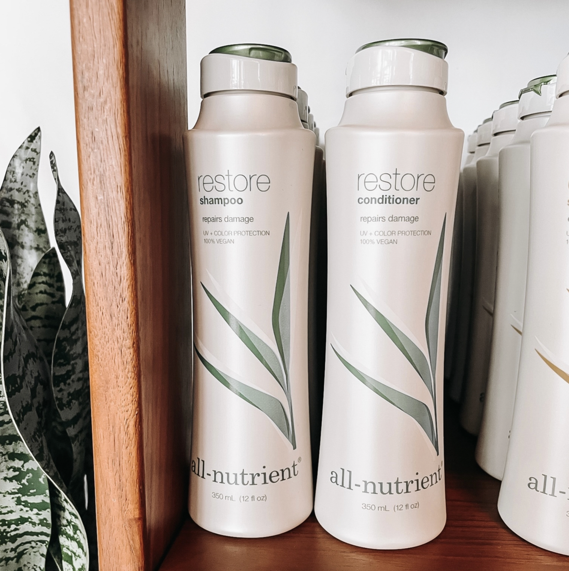 Screenshot 2025-12-02 at 7.41.43 PM.png