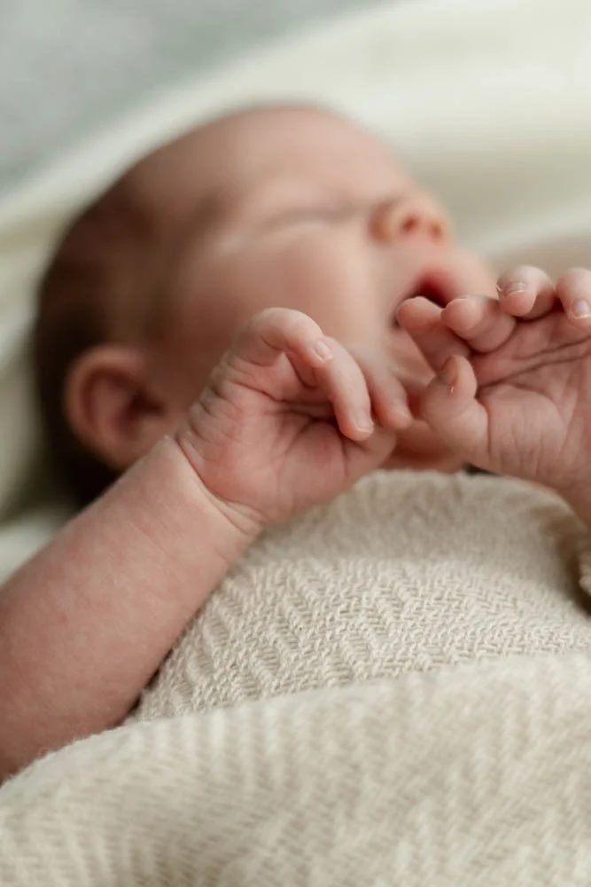 Babyfotografie+Newbornfotografie+Familienfotografie+Fotografie+Familienshooting+Fotografin+Familie+Braunschweig+Wolfenbüttel+Vechelde+Peine+Hildesheim+Niedersachsen  (40)-6.JPG