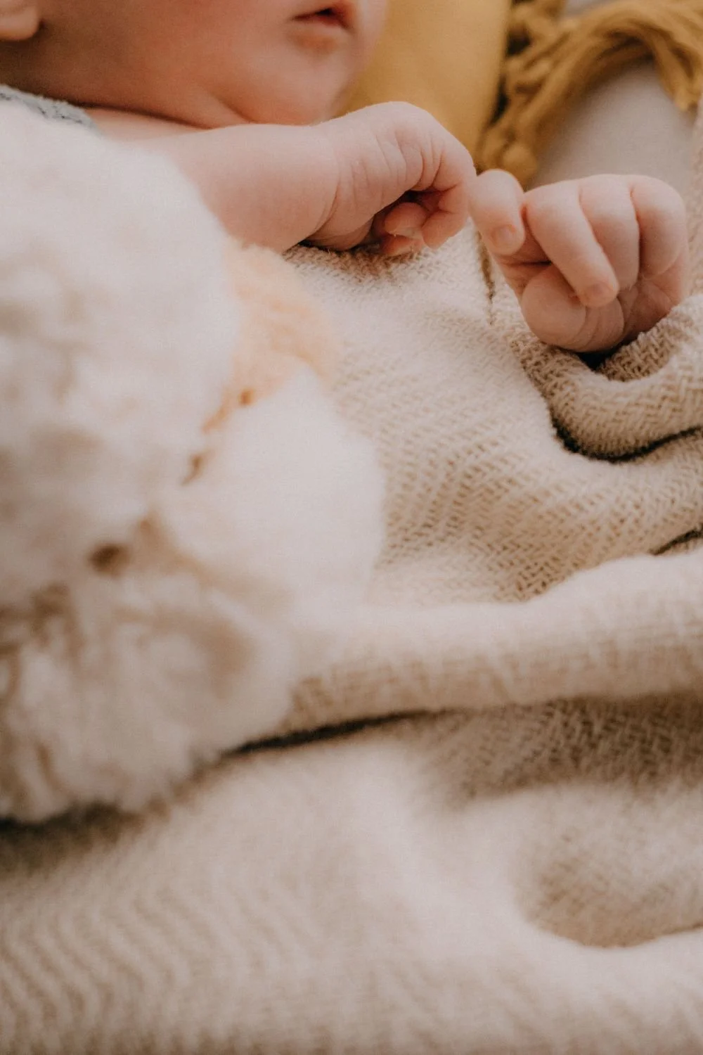 Babyfotografie+Newbornfotografie+Familienfotografie+Fotografie+Familienshooting+Fotografin+Familie+Braunschweig+Wolfenbüttel+Vechelde+Peine+Hildesheim+Niedersachsen  (32).jpg