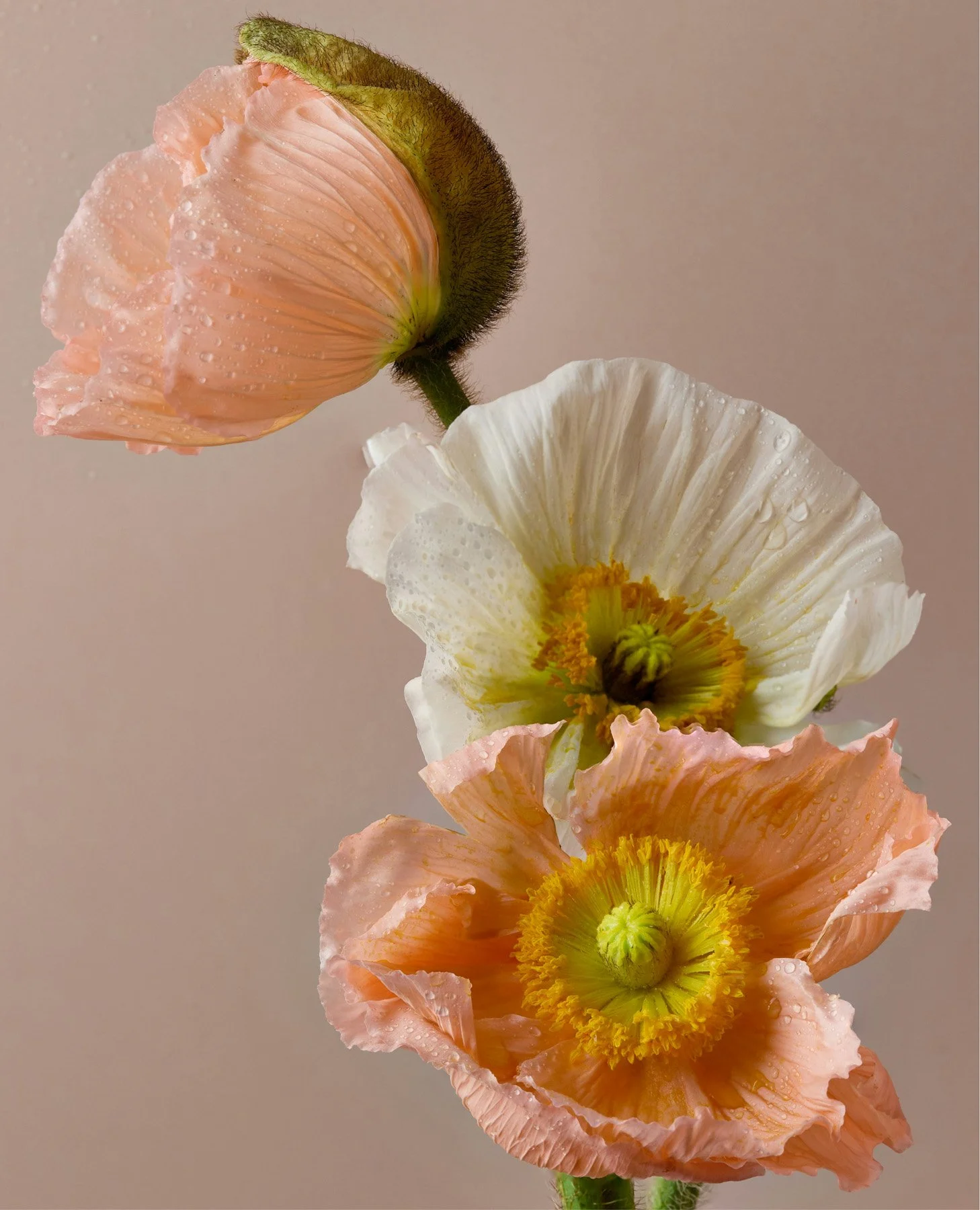 Fleur&Foundry – 15.jpg